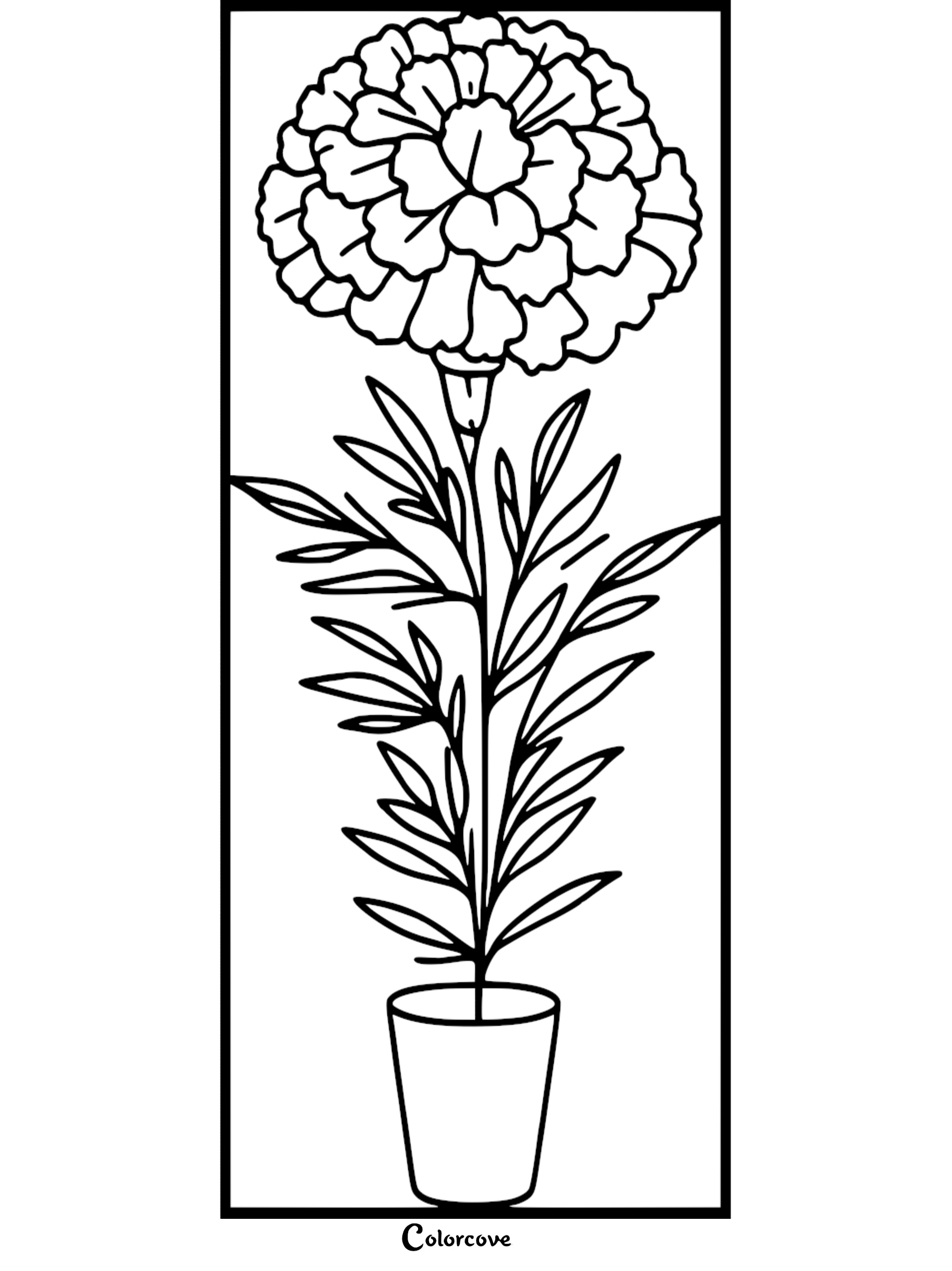 Coloring page of a potted marigold flower with detailed petals and leaves. Ideal for kids and adults.