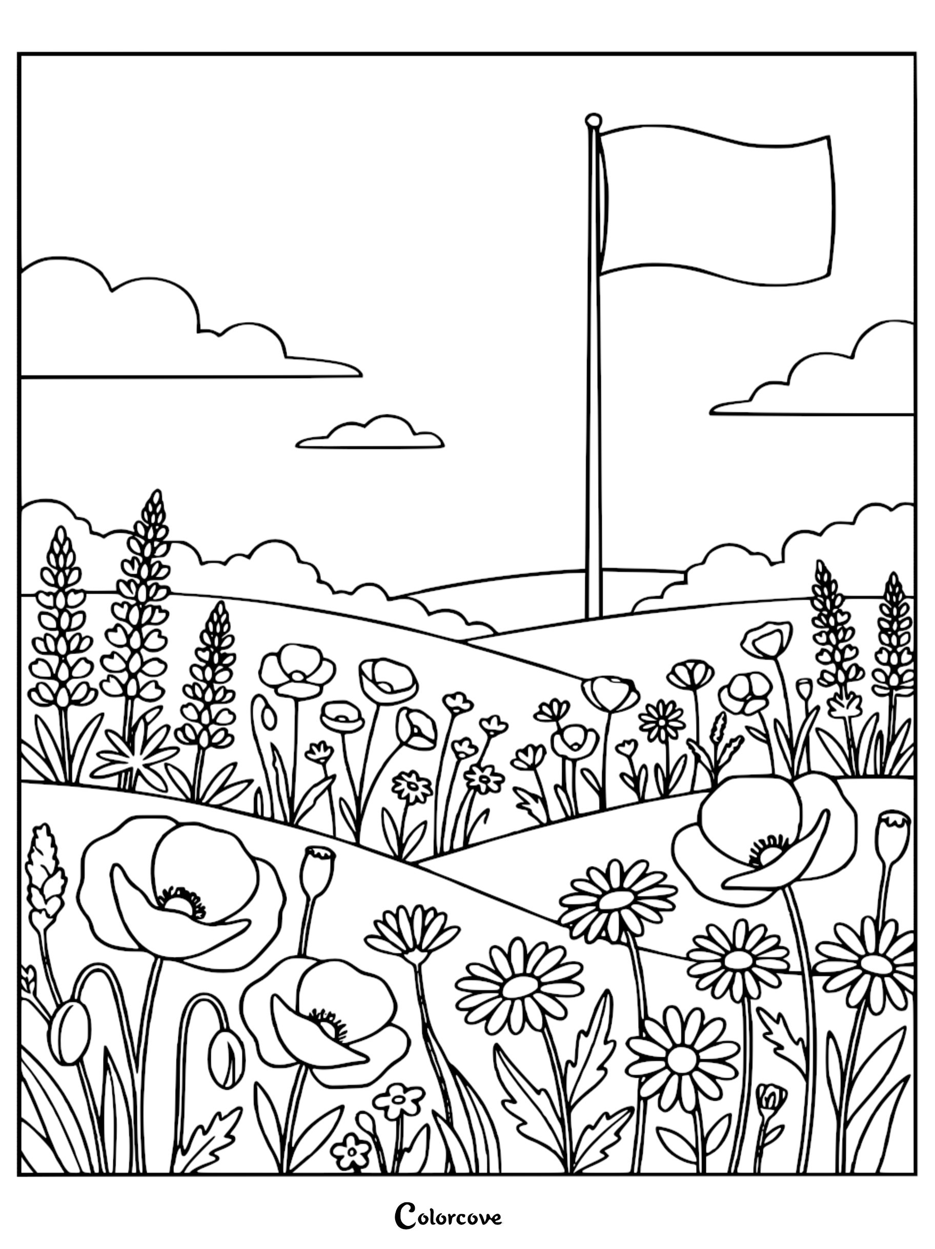 A detailed coloring page of a rolling meadow filled with poppies and daisies with a flag waving in the background.