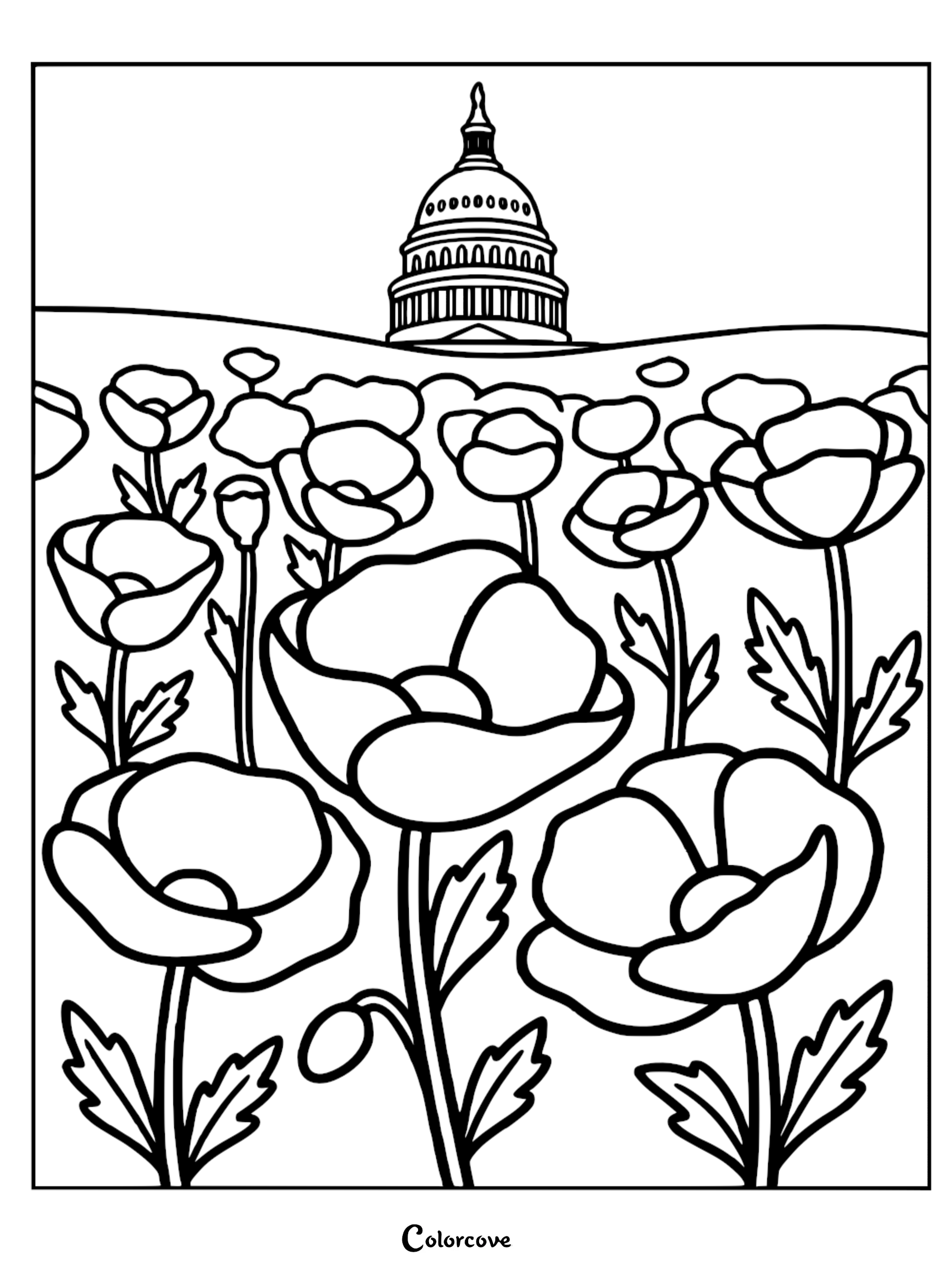 A printable coloring page featuring a field of beautiful poppies with the US Capitol building in the background, perfect for patriotic or nature-themed coloring activities.