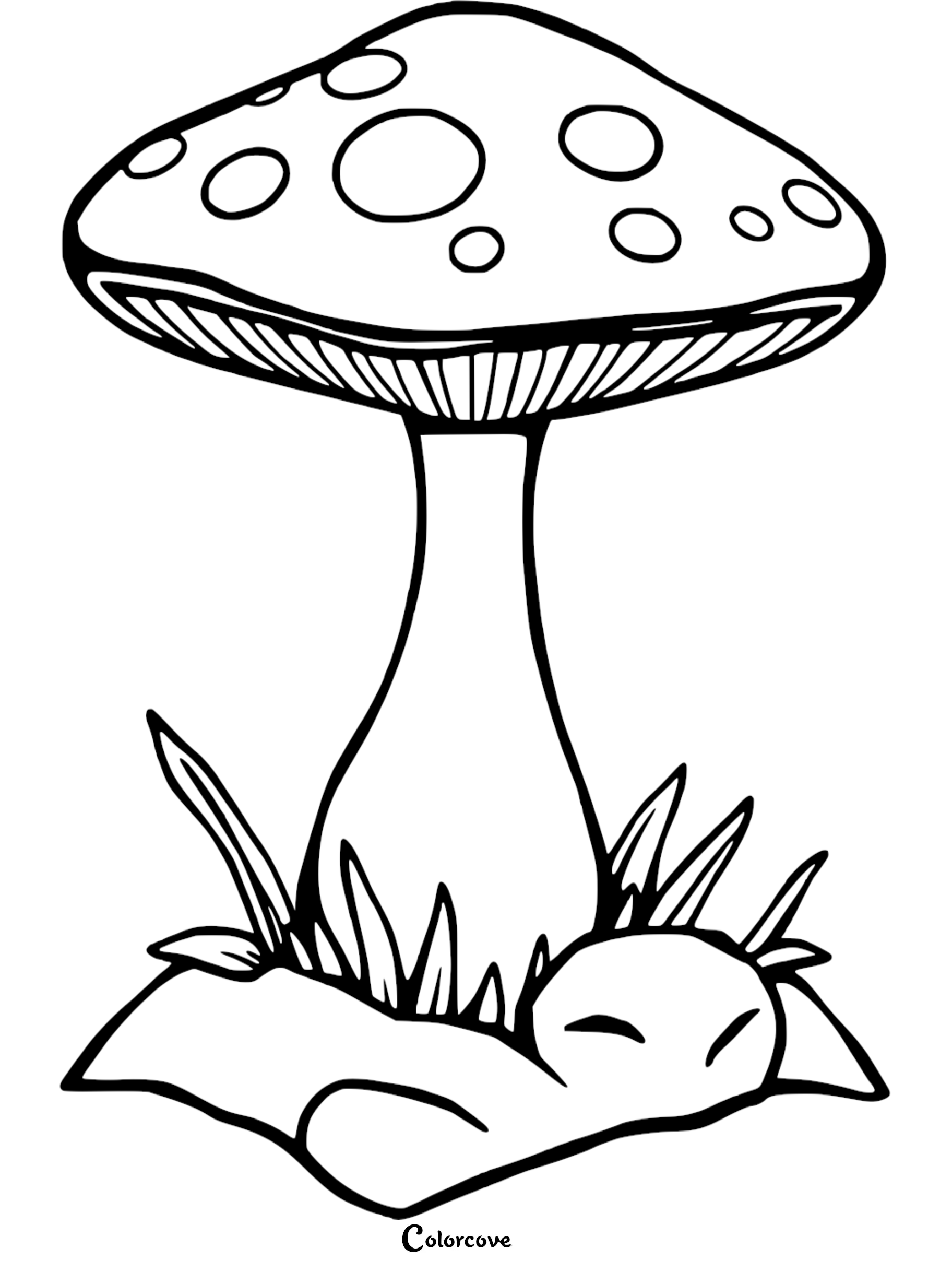 Coloring page featuring a detailed mushroom with grass and rocks, perfect for kids and nature art enthusiasts.