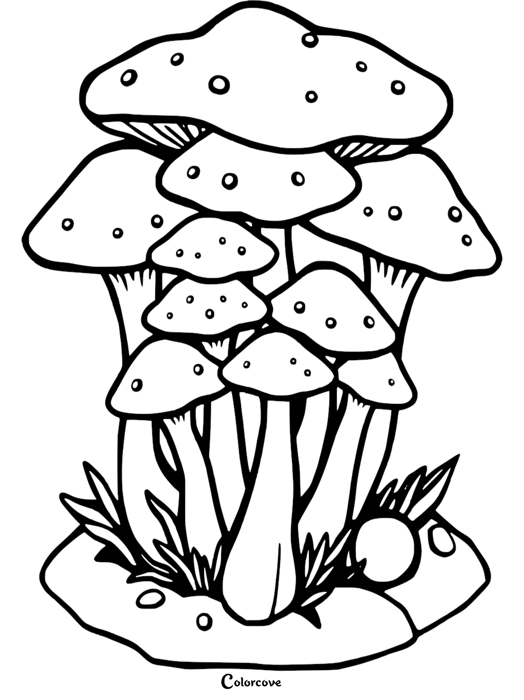 Coloring page of whimsical mushrooms cluster on forest floor, perfect for kids and adults.