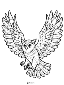 30 Free Owl Coloring Pages