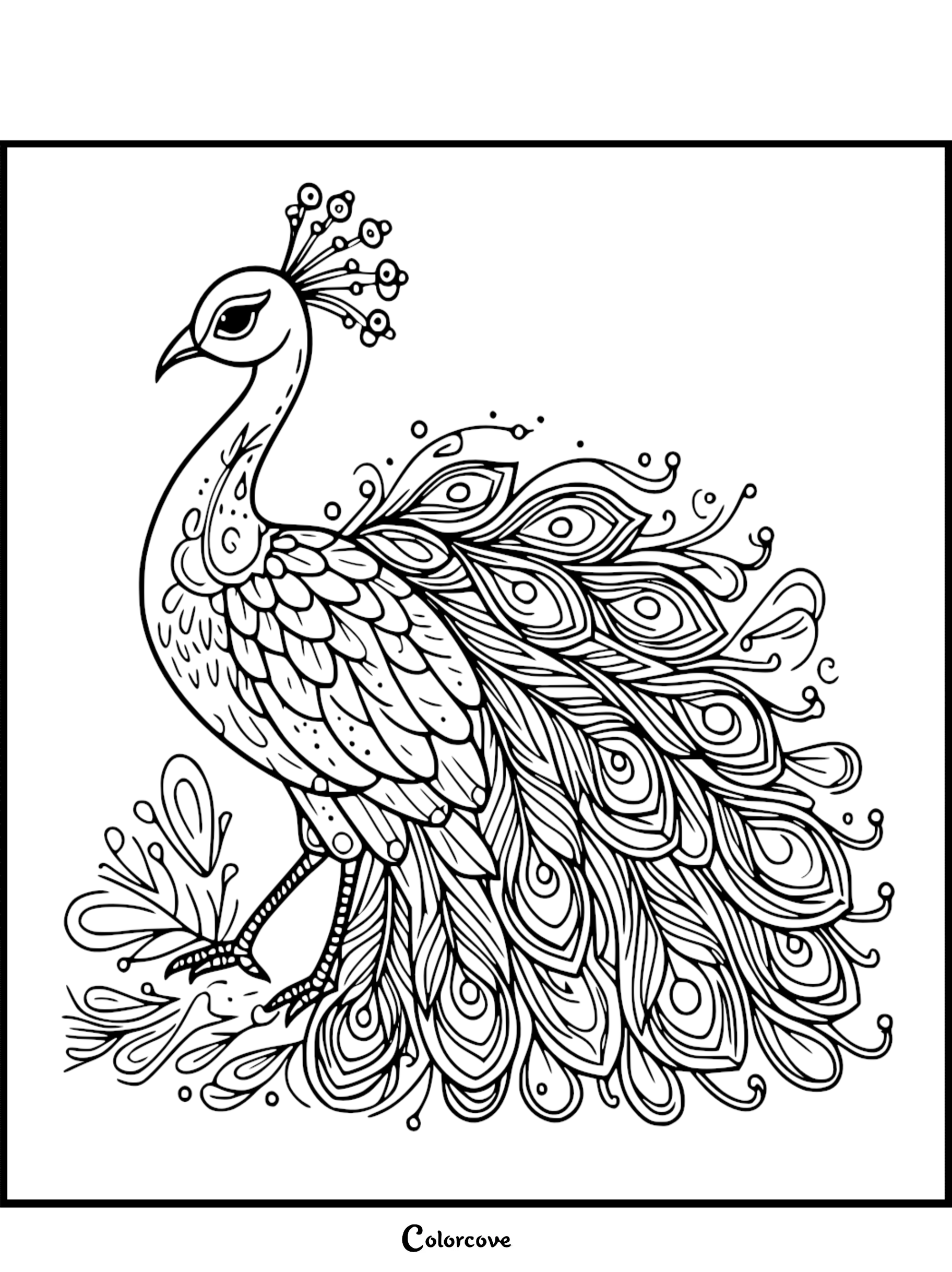 Intricate peacock line art coloring page with ornate tail feathers, delicate crest, and floral accents.