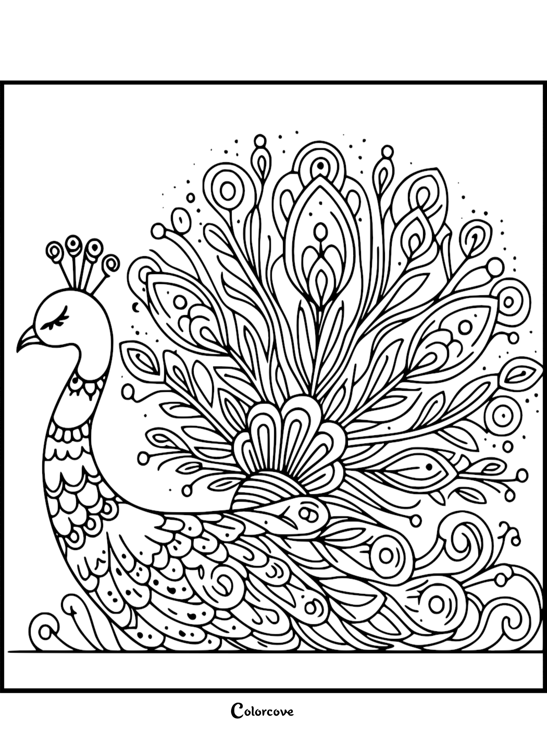 A decorative peacock coloring page featuring intricate feathers, floral swirls, and bold mandala-style eye patterns in black and white line art.