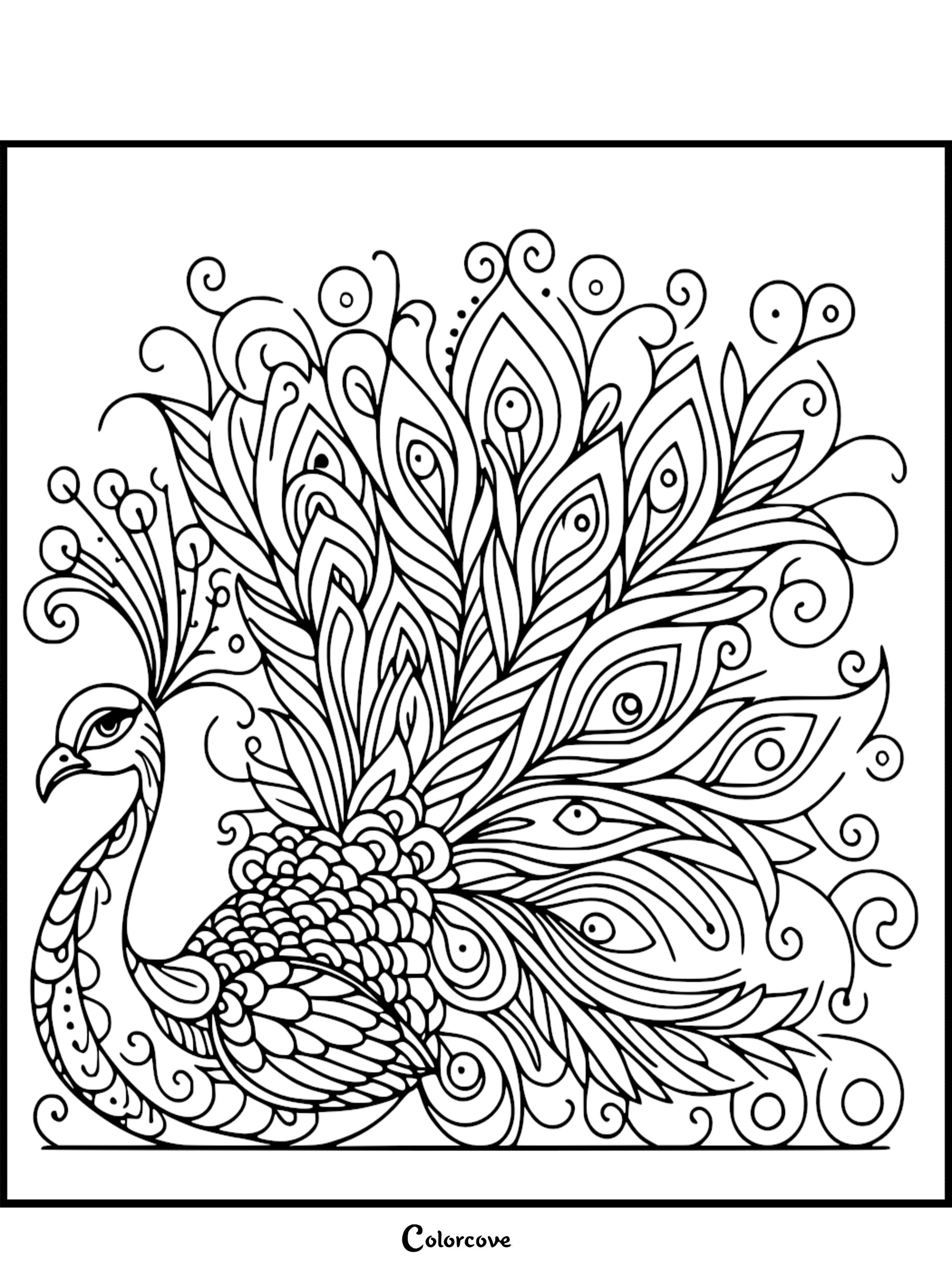 Intricate peacock coloring page featuring a majestic bird with a fanned tail of ornate feathers, decorative swirls, and detailed eye-pattern motifs.