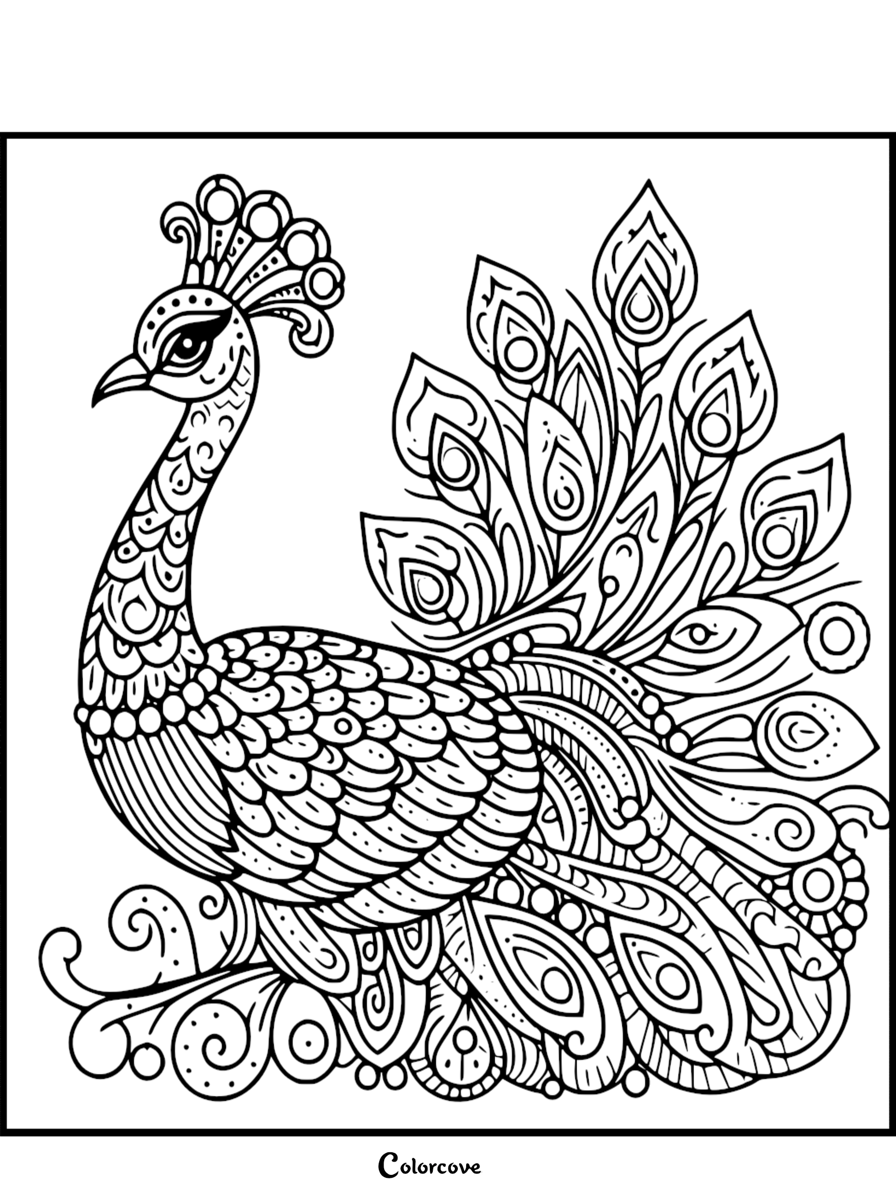 A detailed line art coloring page of a majestic peacock with an ornate fan of feathers and patterned plumage.