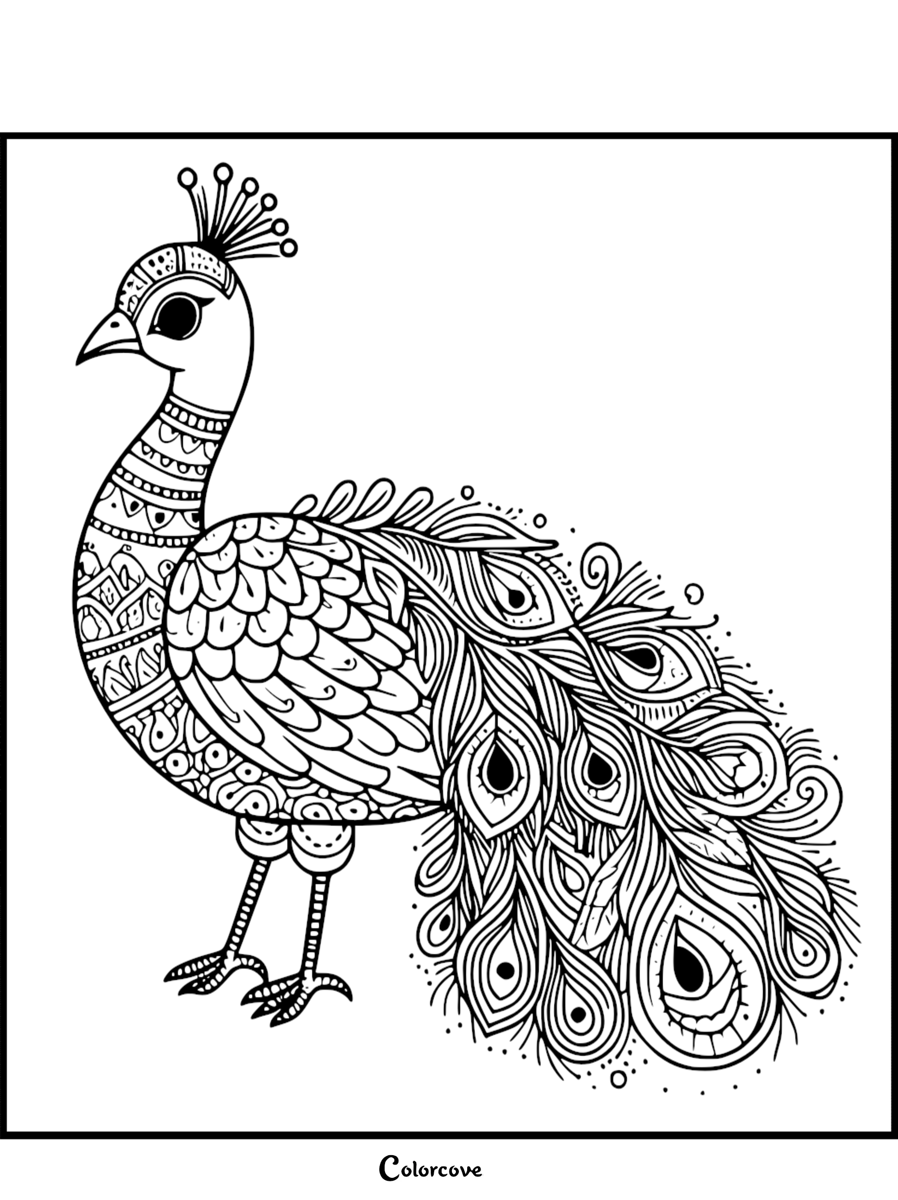 A printable peacock coloring page featuring a bird with a detailed mandala-patterned body and ornate eye-spotted tail feathers.