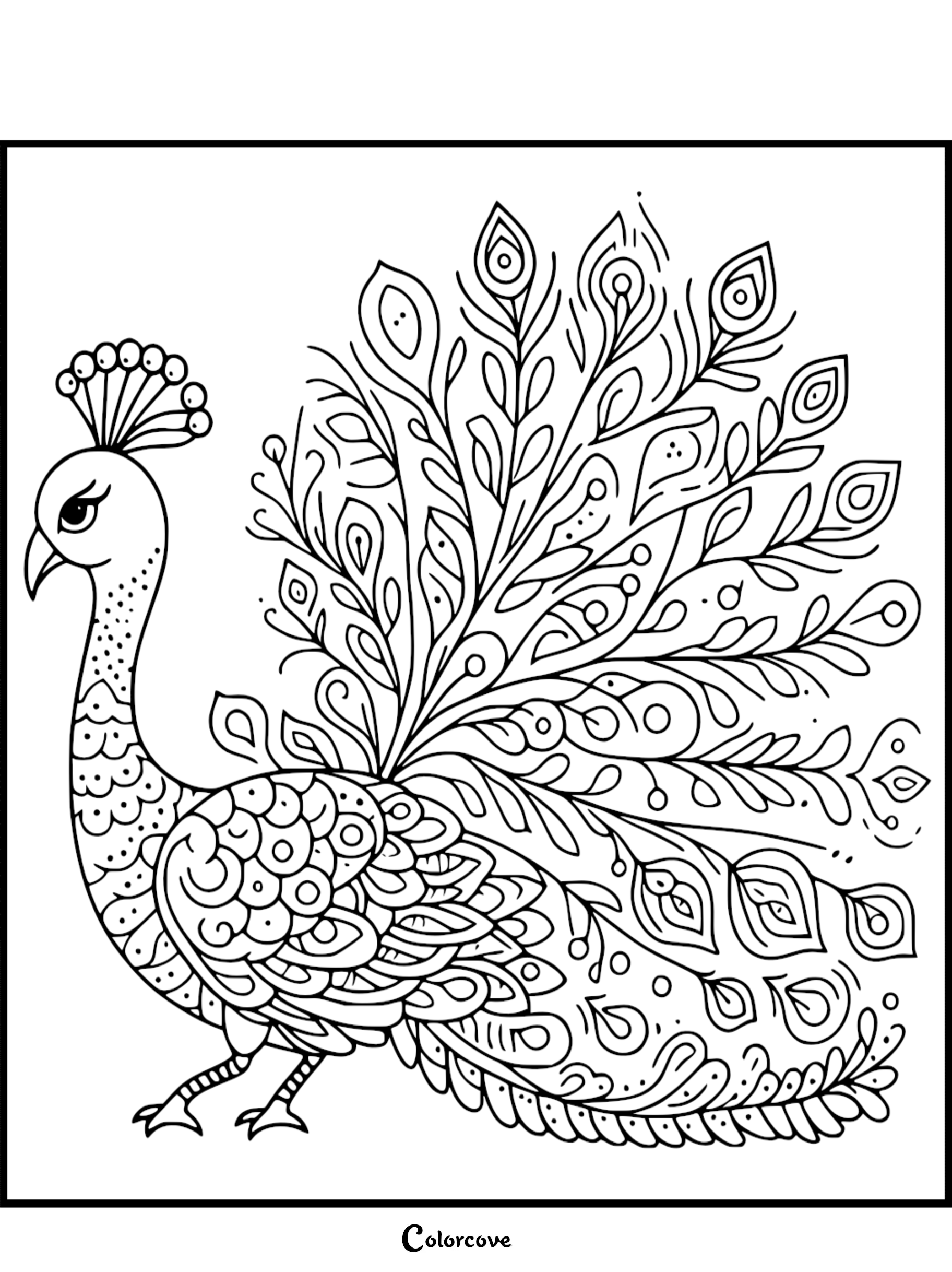 A detailed peacock coloring page featuring a decorative bird with a wide, elaborate fan of feathers adorned with paisley and circular eye-like patterns.