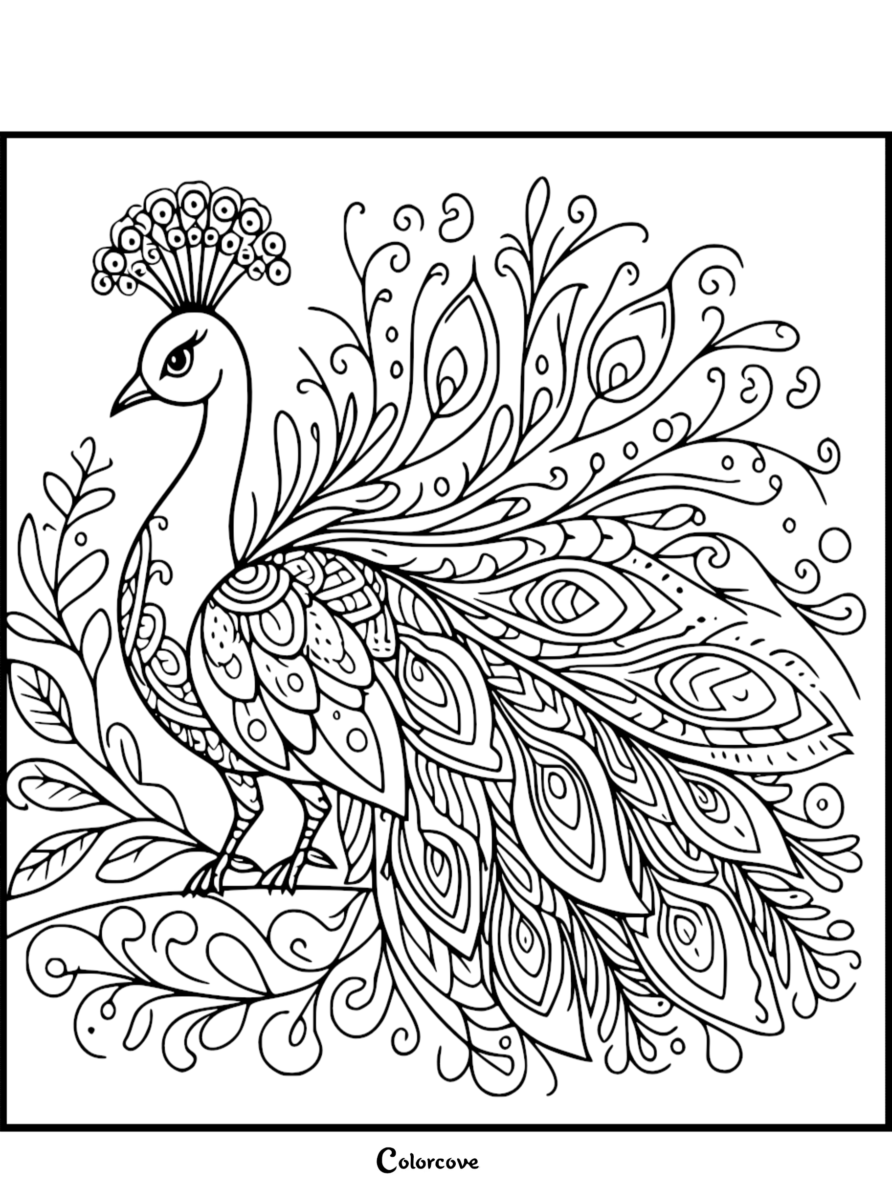 Intricate black and white peacock coloring page featuring detailed paisley feather patterns and elegant floral curls.