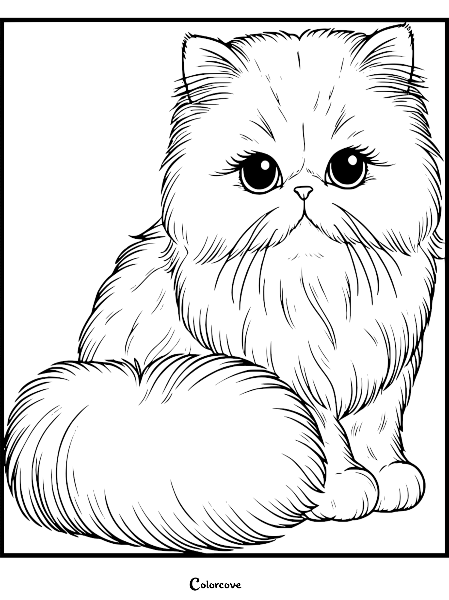 A detailed Persian cat coloring page featuring a fluffy feline with large expressive eyes and long fur.