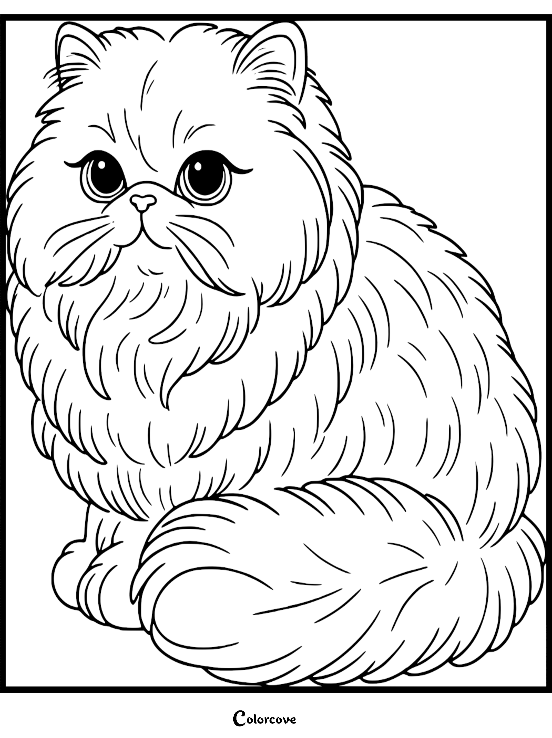 A printable Persian cat coloring page featuring a fluffy cat with large eyes and long fur.