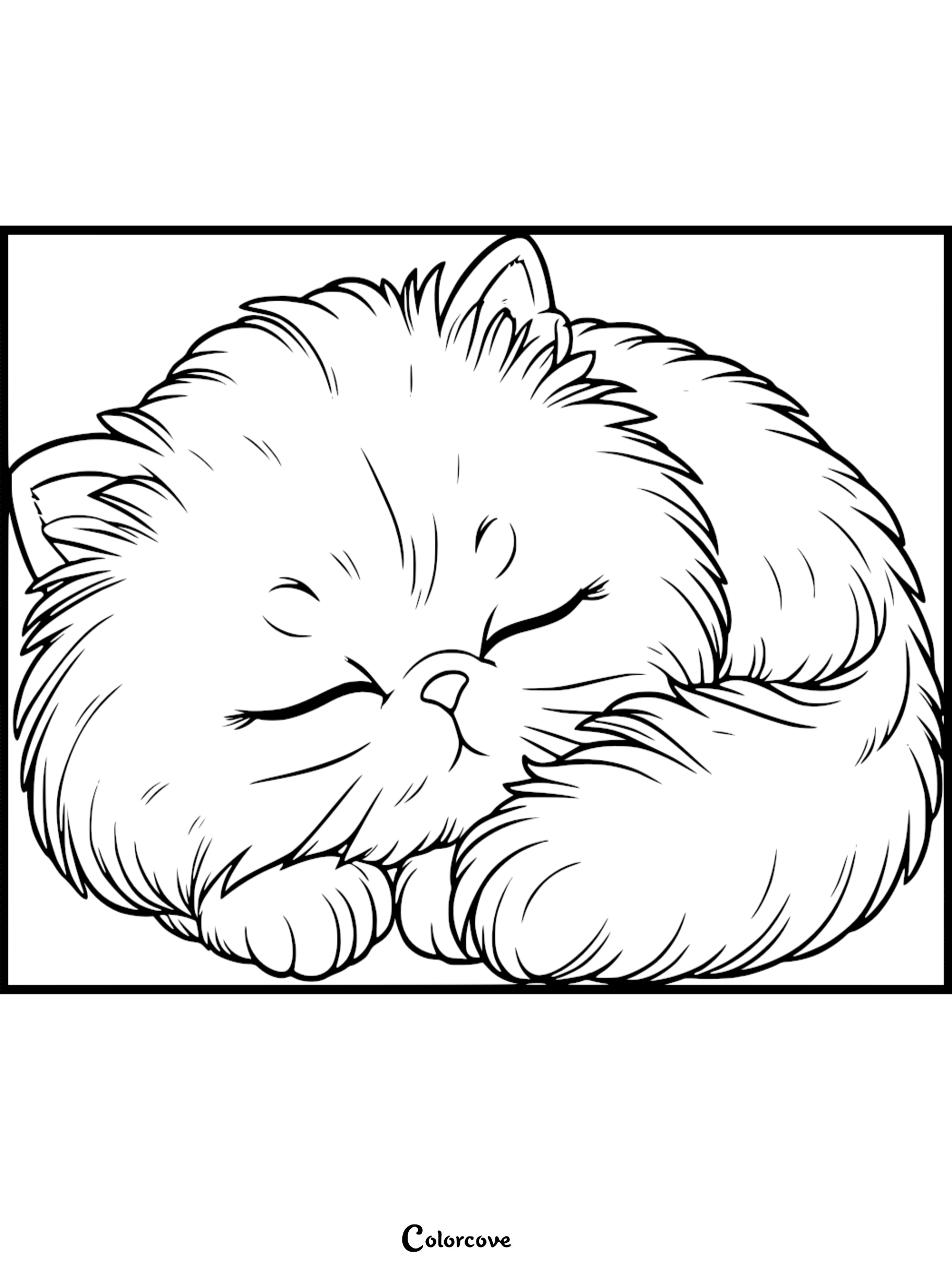 A fluffy Persian cat curled up sleeping in this printable coloring page.
