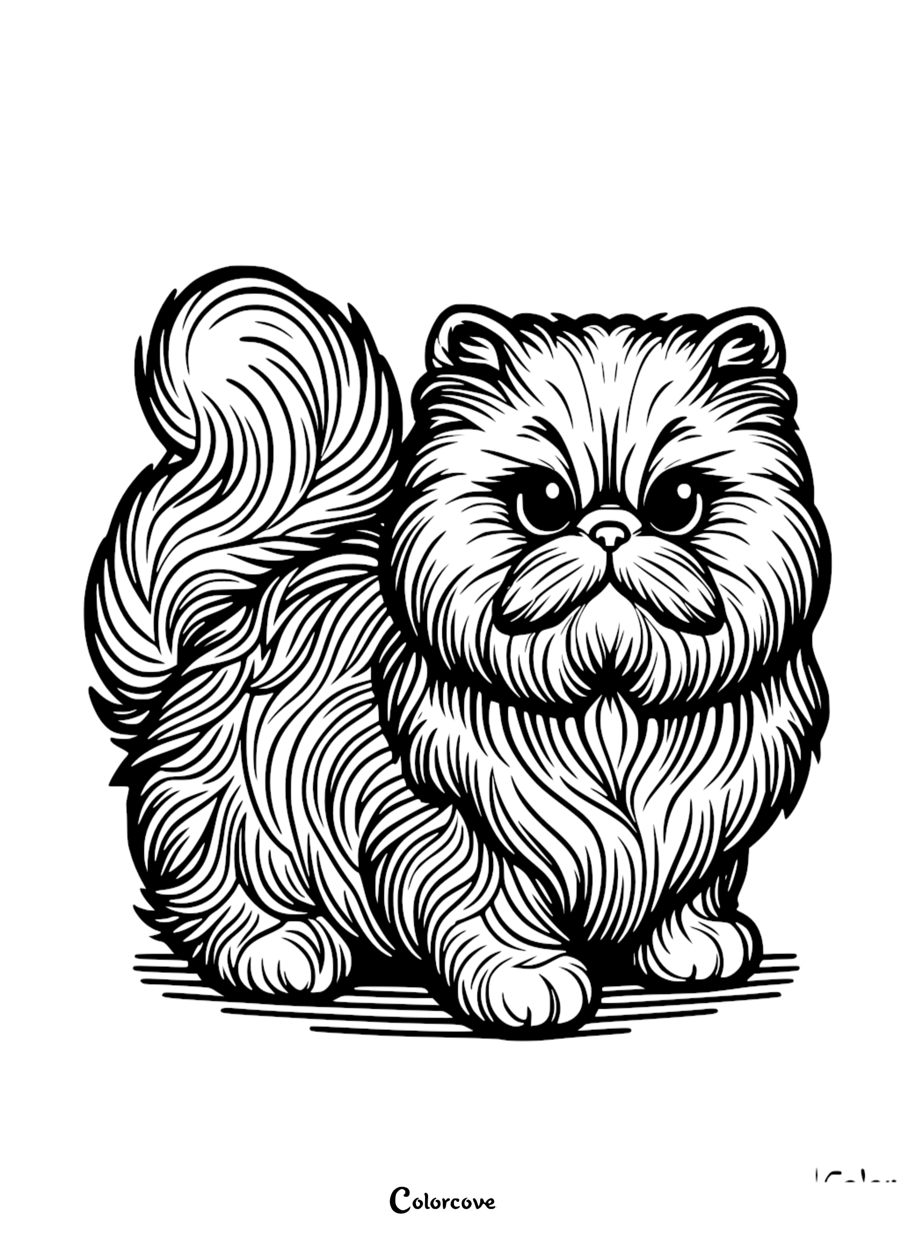 A printable Persian Cat coloring page featuring a fluffy cat with long, flowing fur and a curled tail.