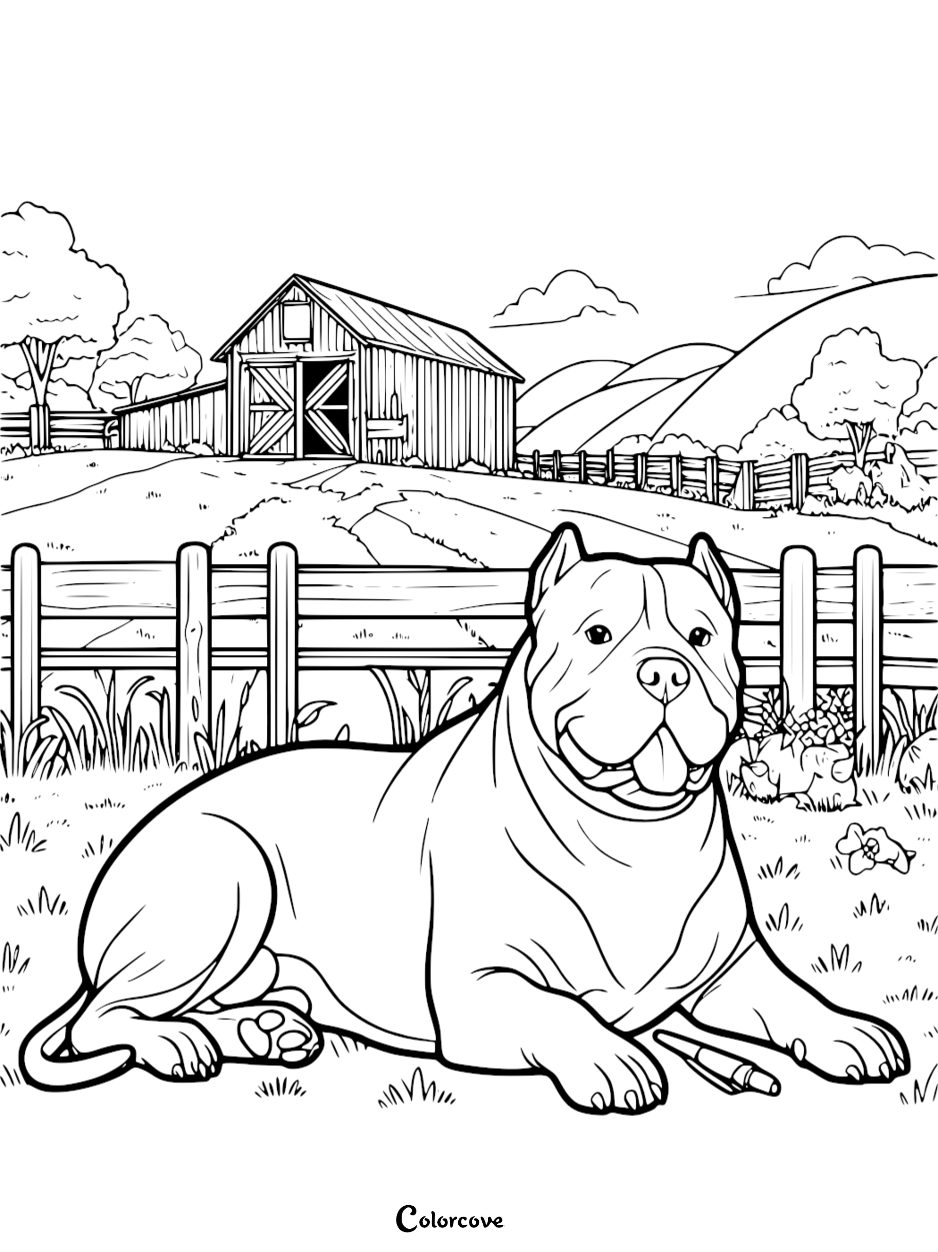 a dog lying in a field