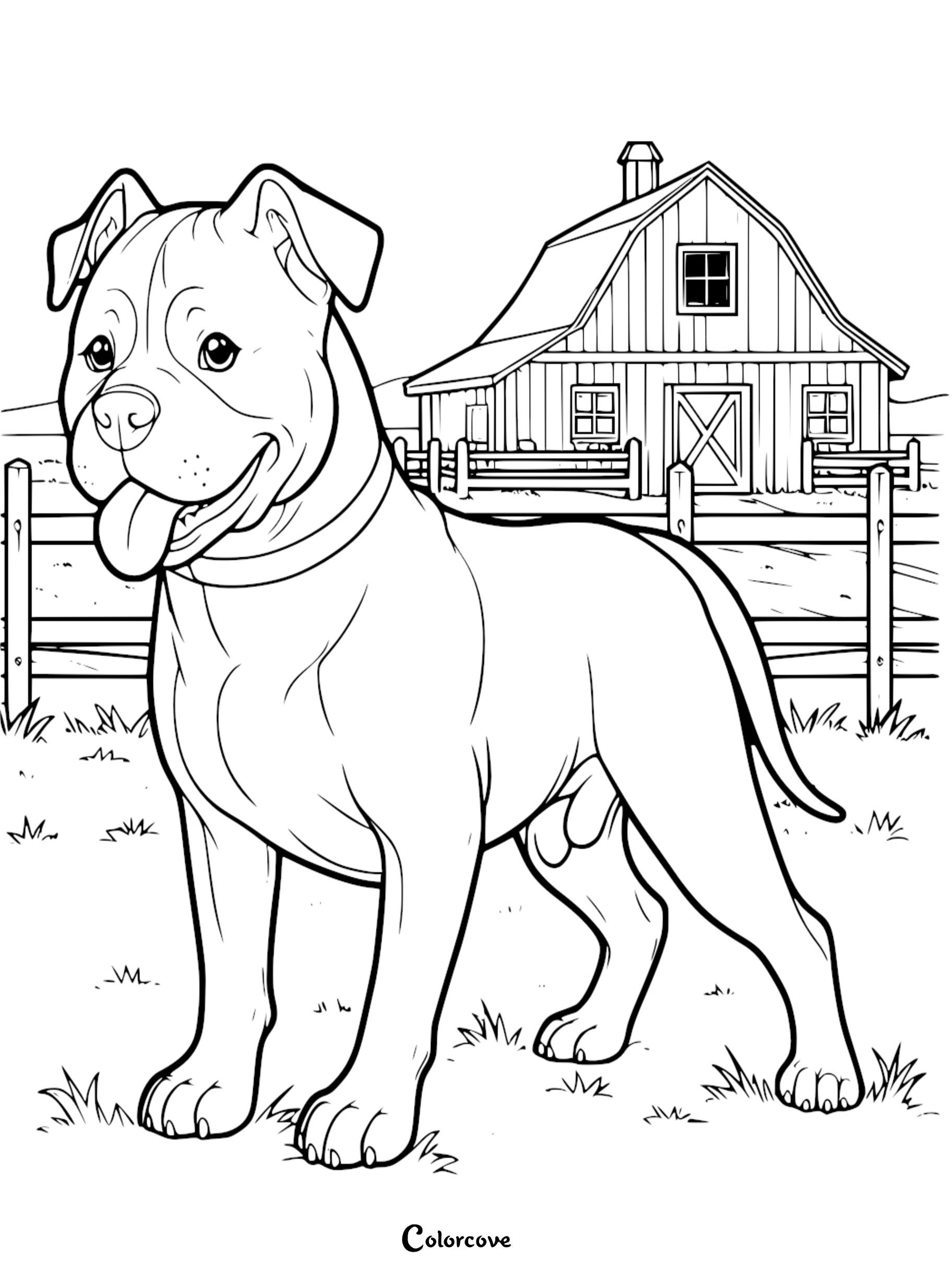 a dog standing in a field