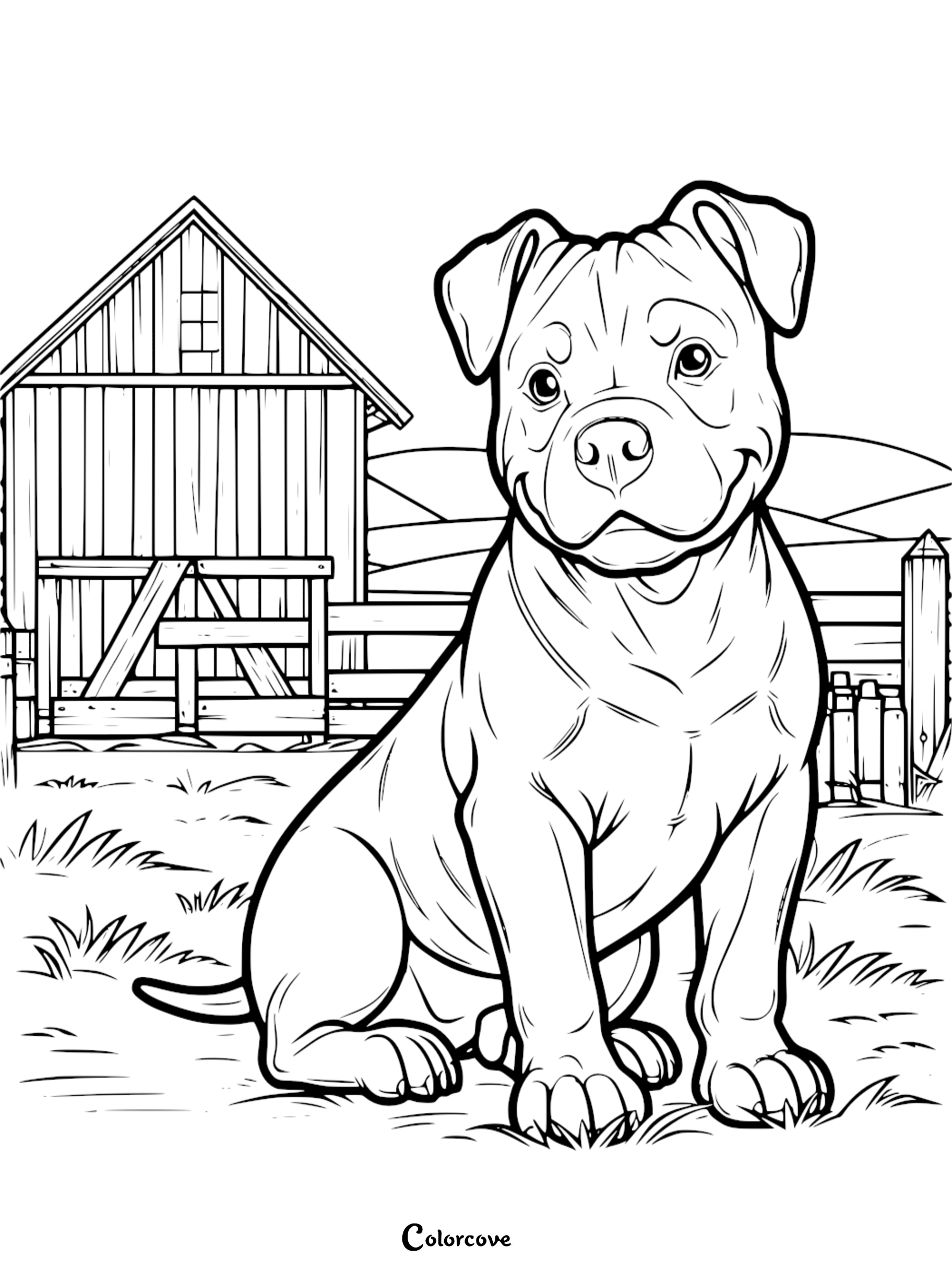 a dog sitting in a field