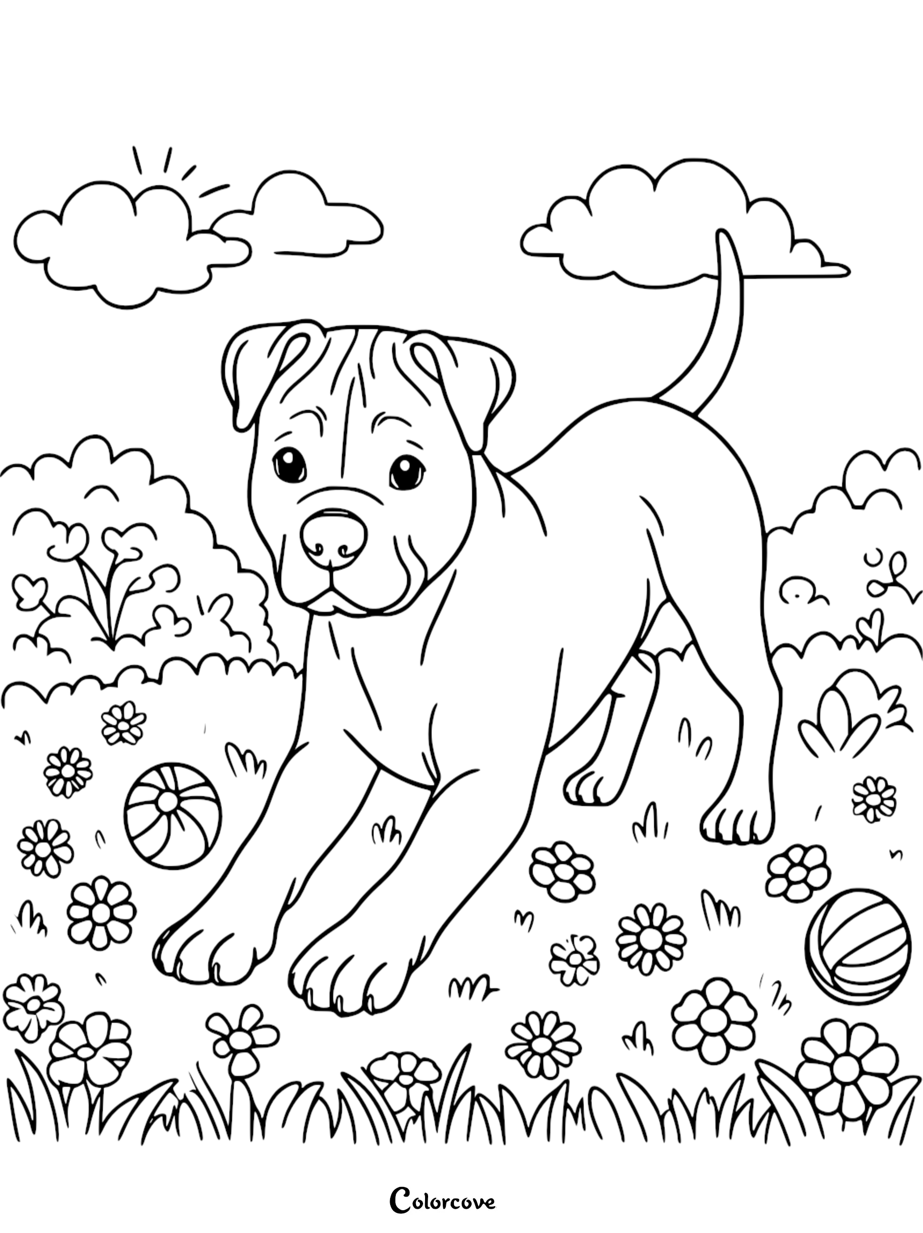 a dog in a field with flowers and balls