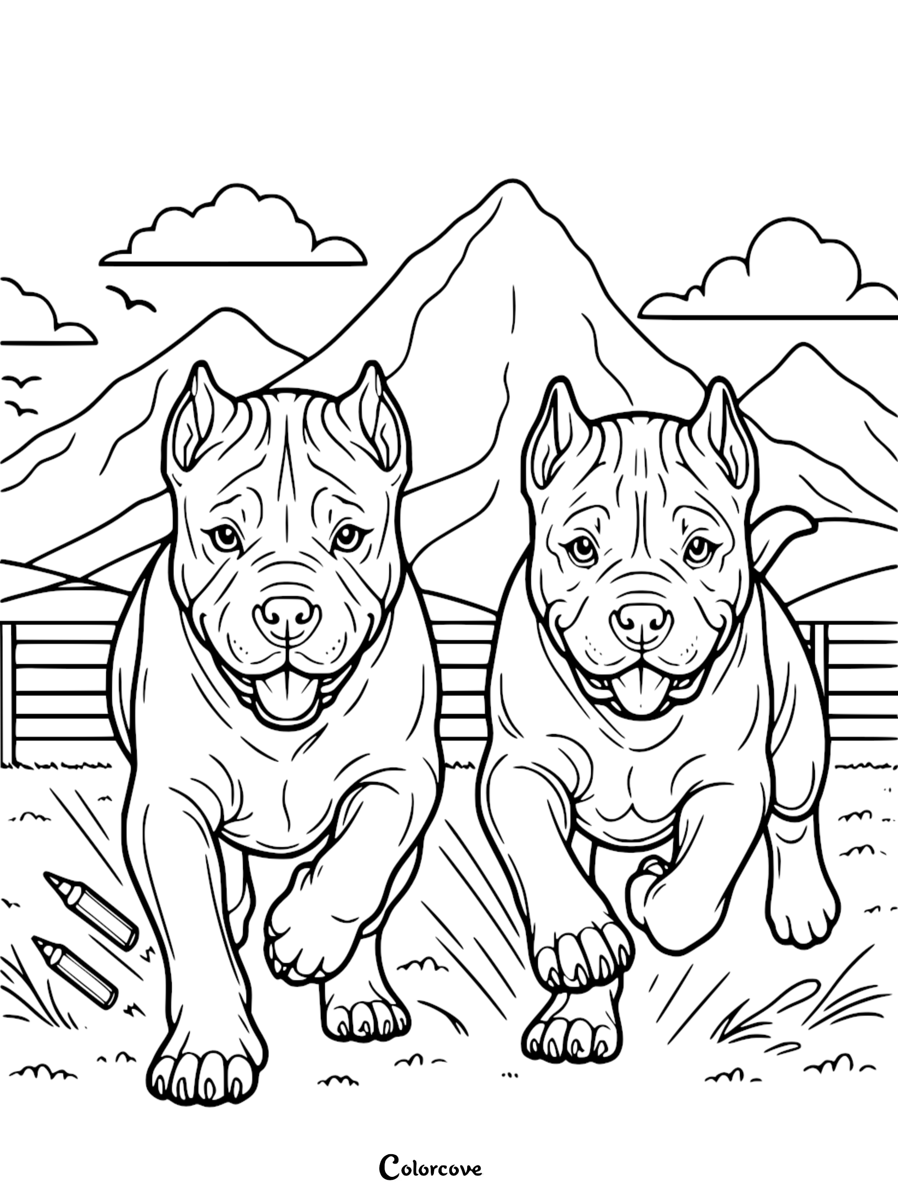two dogs running in a field