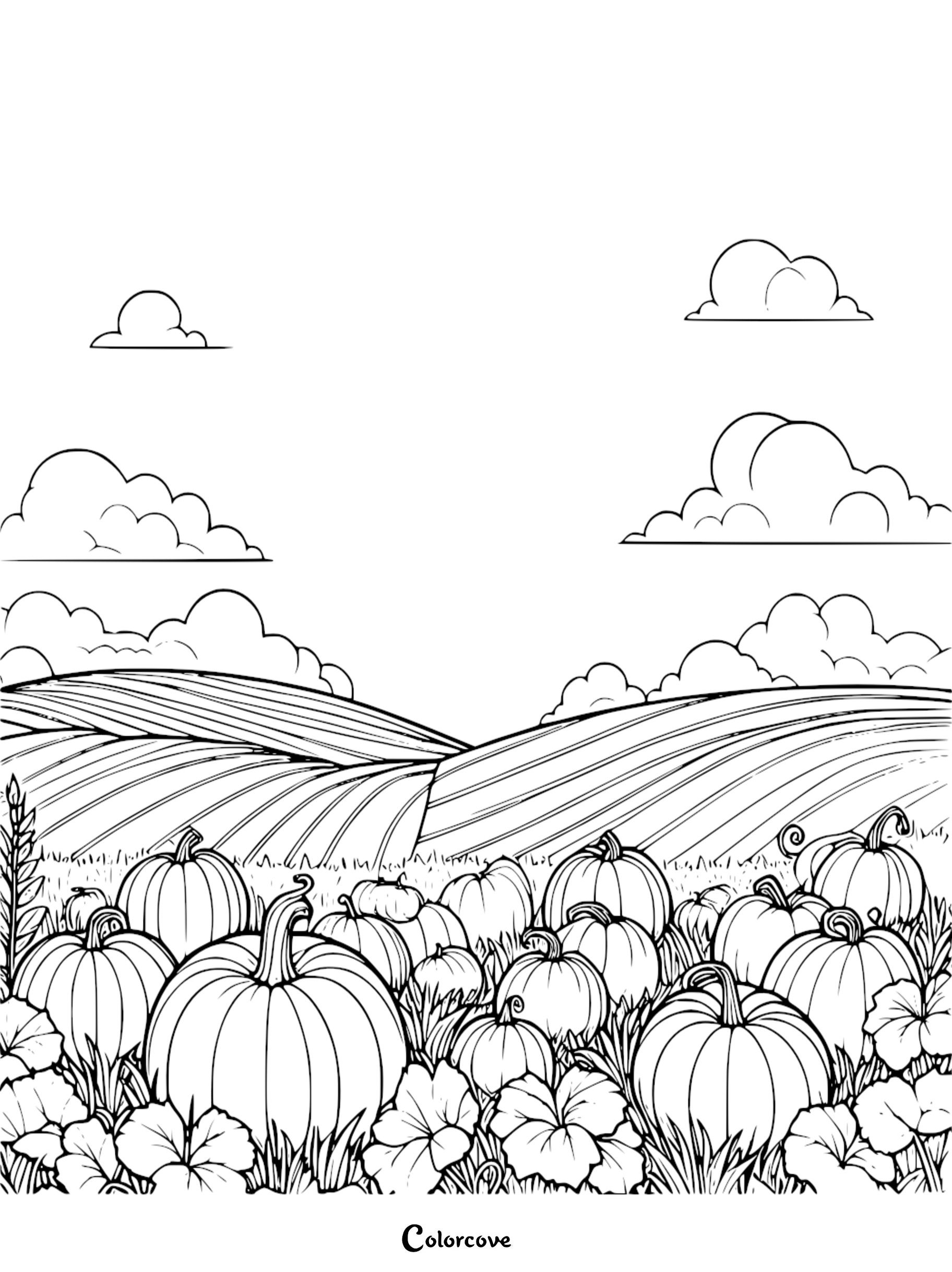 Pumpkin patch coloring page with a scenic field and clouds. Perfect for kids and adults to color and enjoy the fall season.