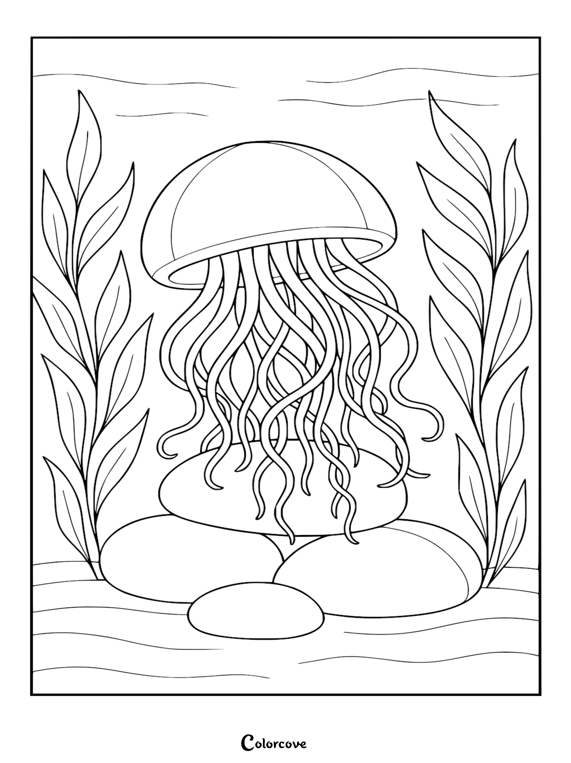 Relaxing jellyfish coloring page featuring a dome-shaped medusa with flowing tentacles resting on smooth underwater stones surrounded by seaweed.