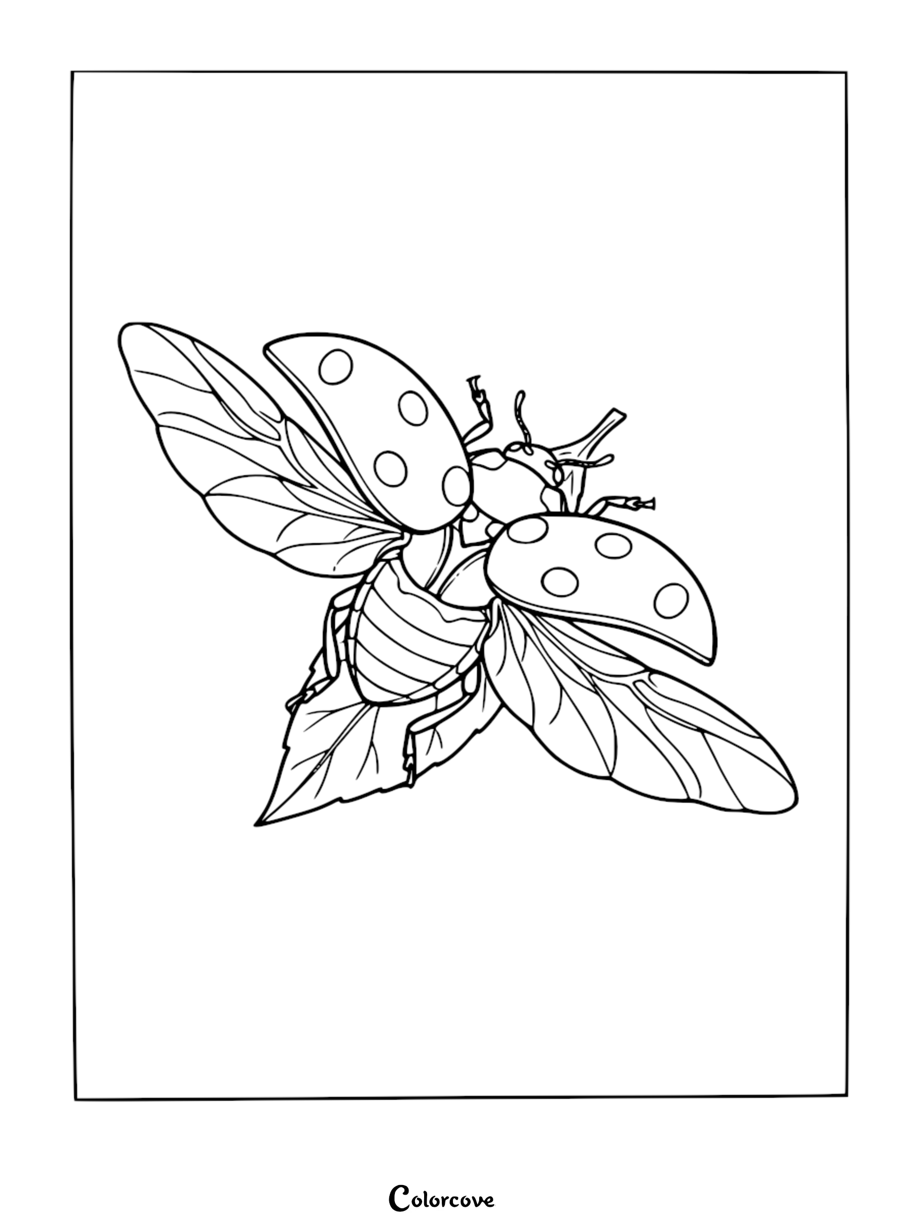 Relaxing ladybug with wings spread wide, landing on a green leaf, isolated line art coloring page.