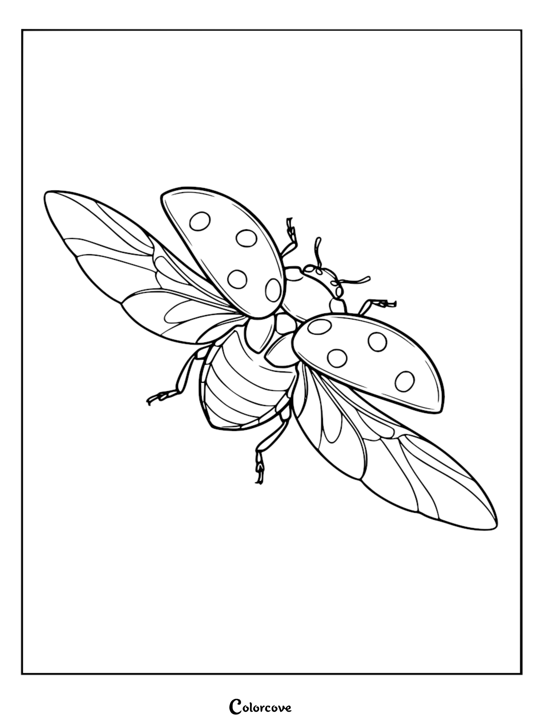 A relaxing ladybug coloring page featuring a beetle with outstretched wings and detailed polka-dot elytra.
