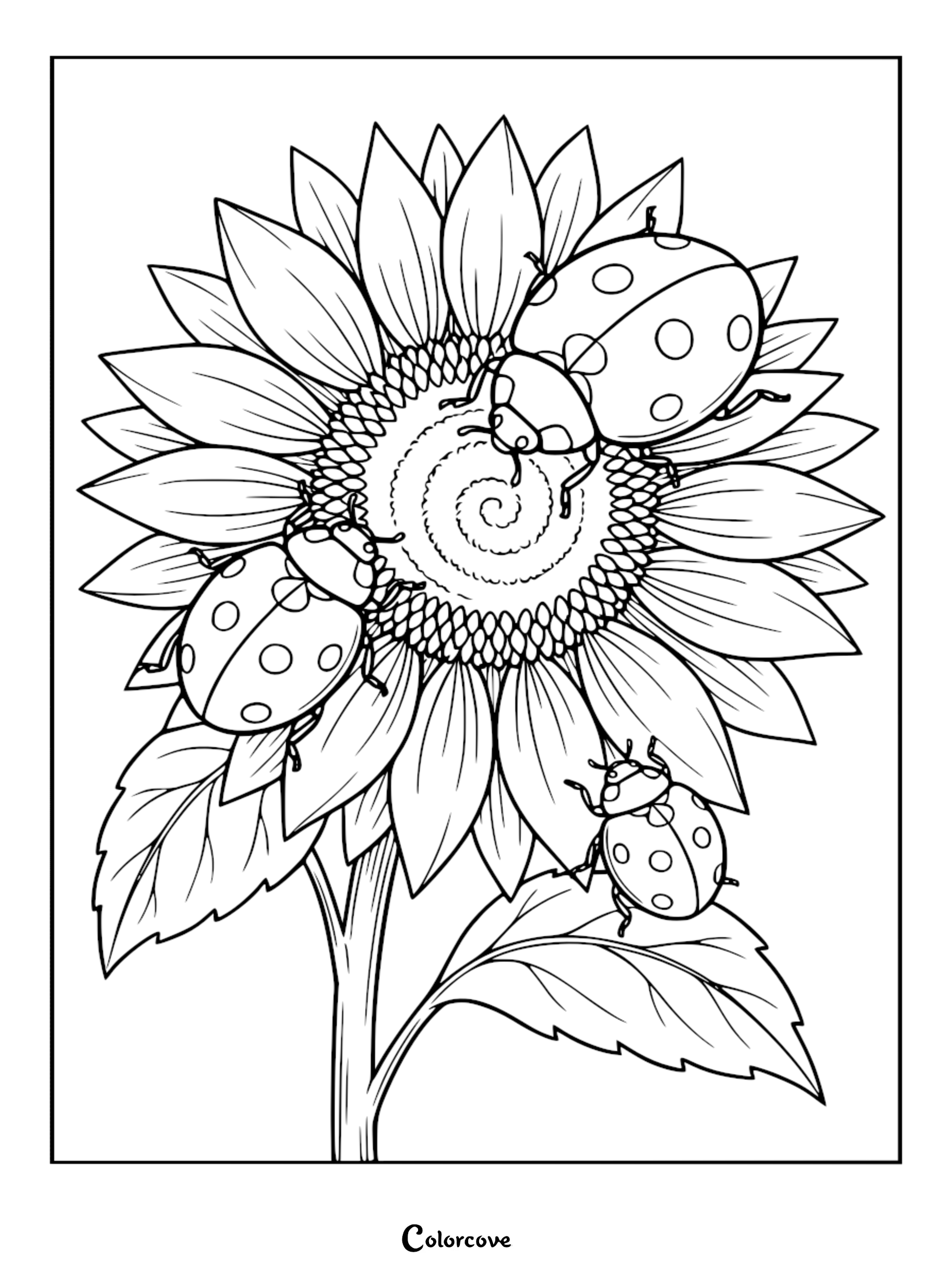 Three ladybugs resting on a detailed sunflower head in this relaxing nature-themed coloring page.