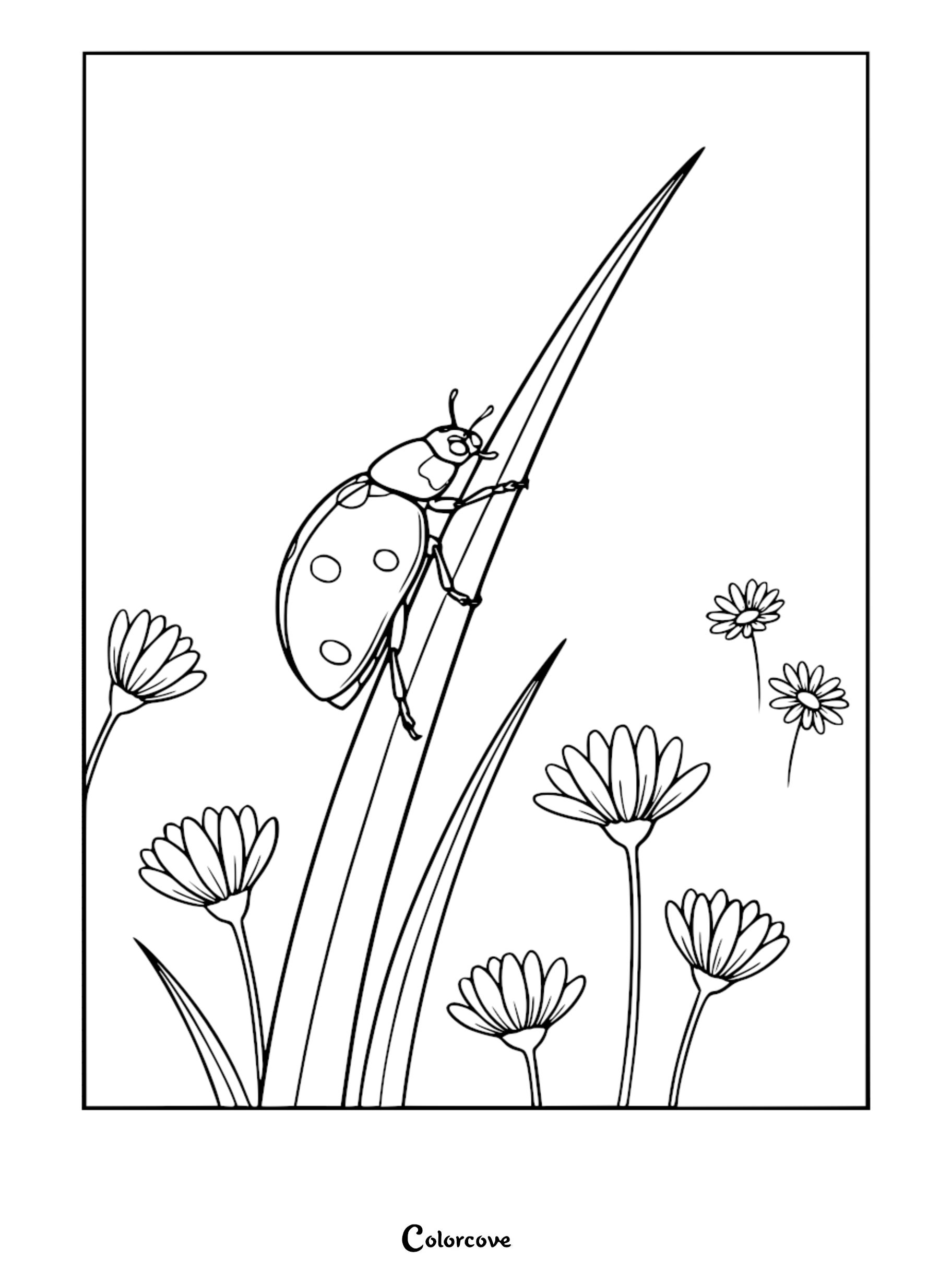 Relaxing ladybug climbing a blade of grass surrounded by blooming daisies in a simple line art coloring page.