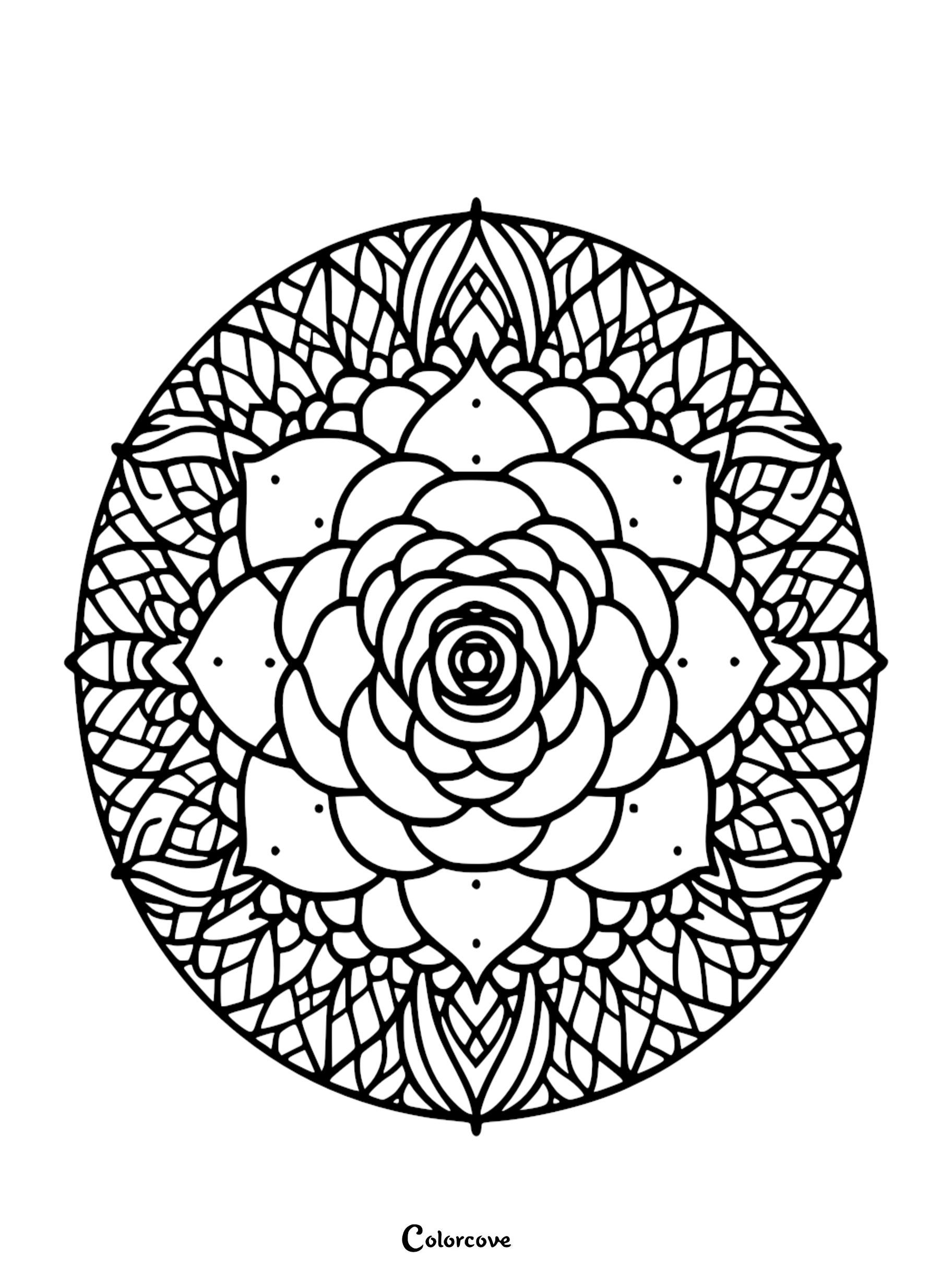 a black and white circular pattern