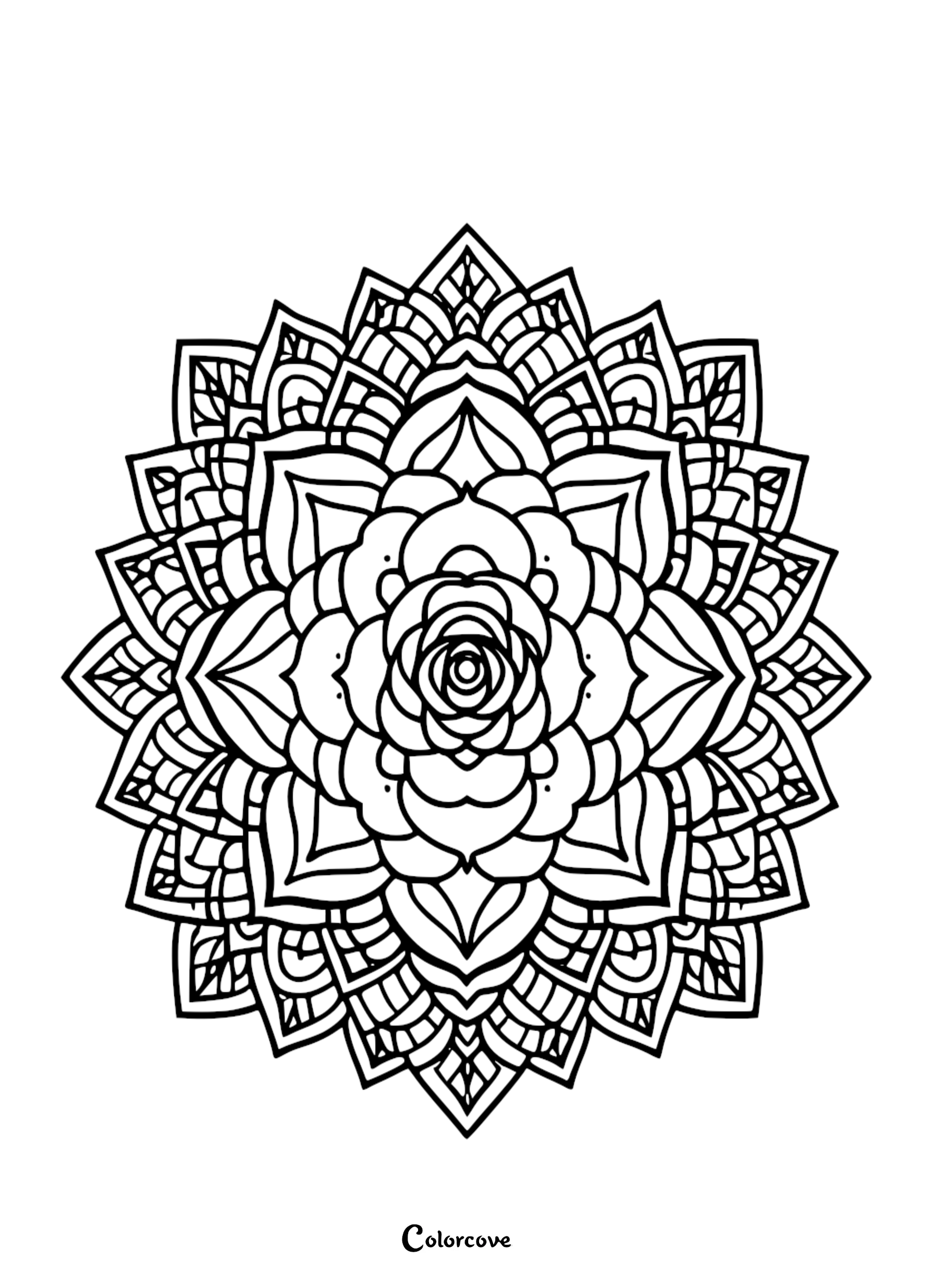 a black and white circular pattern