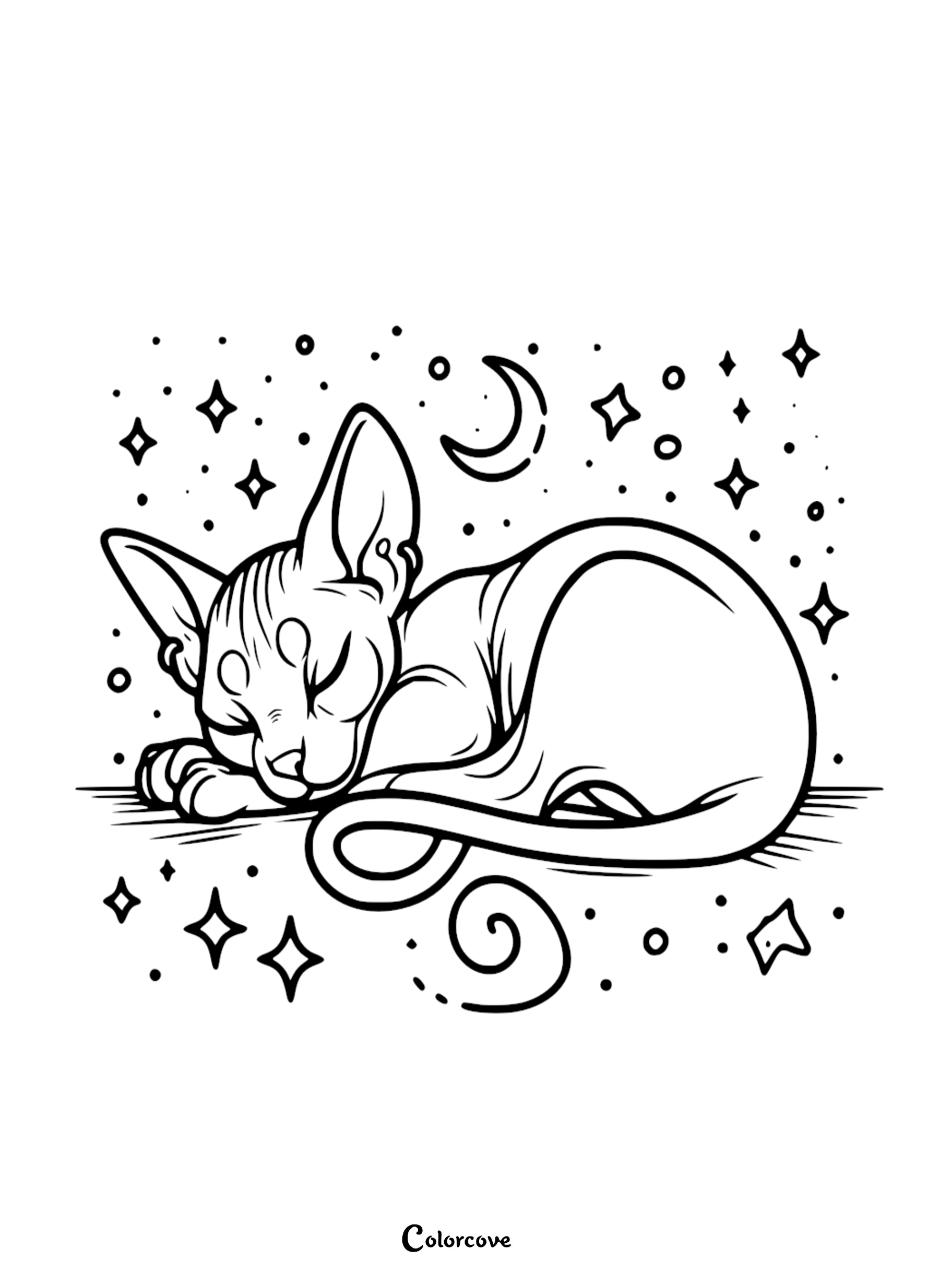 Coloring page of a sleeping Sphynx cat with stars and a crescent moon in the background for relaxation and creativity.