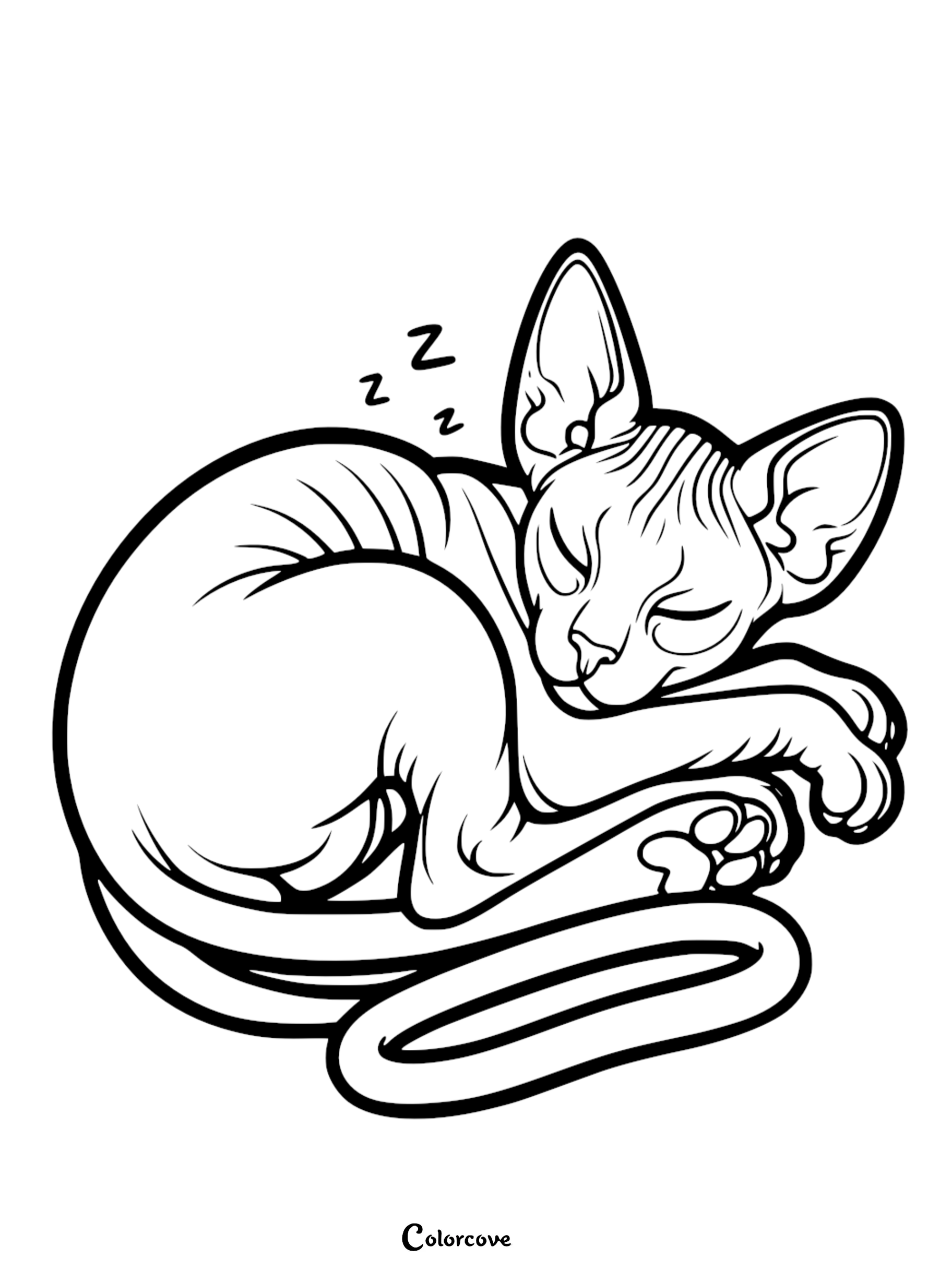 Coloring page of a sleeping Sphynx cat curled up with eyes closed and tiny 'Z's above its head indicating it's asleep.