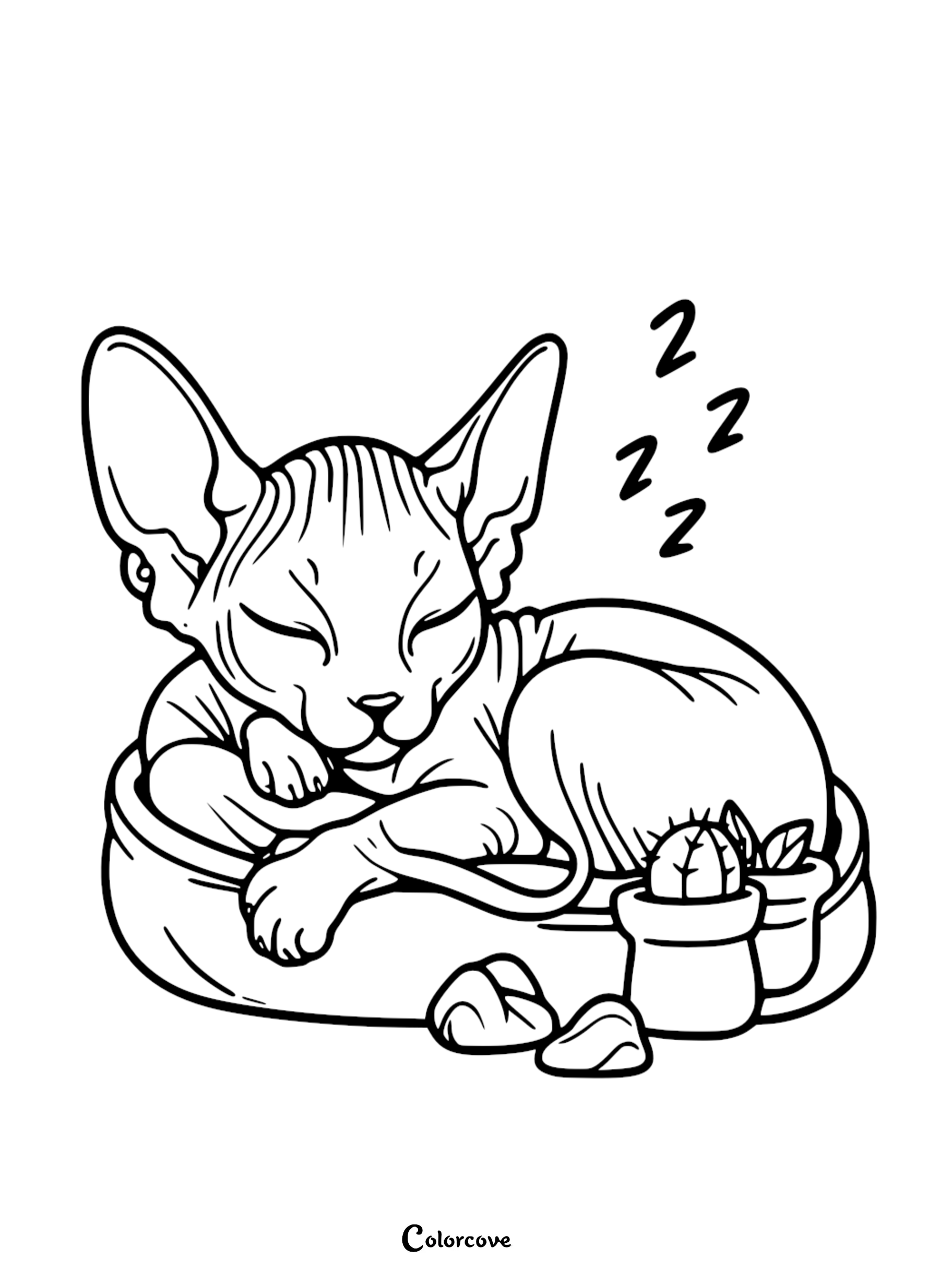 Coloring page of a sleeping cat on a cushion with potted plants and rocks nearby, designed by Color Cove.