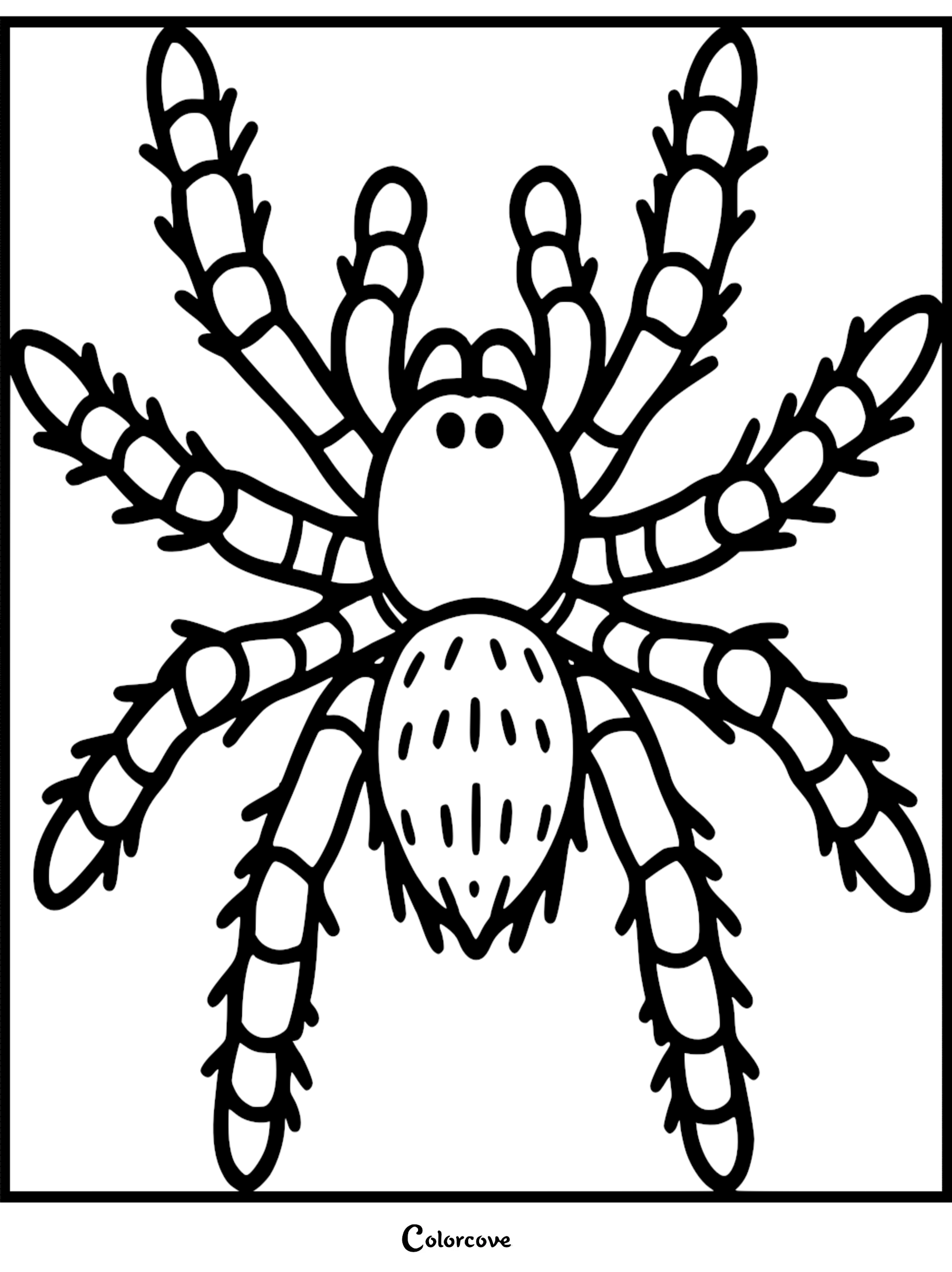 A simple coloring page featuring a cute spider with eight long, striped, hairy legs and a patterned abdomen.