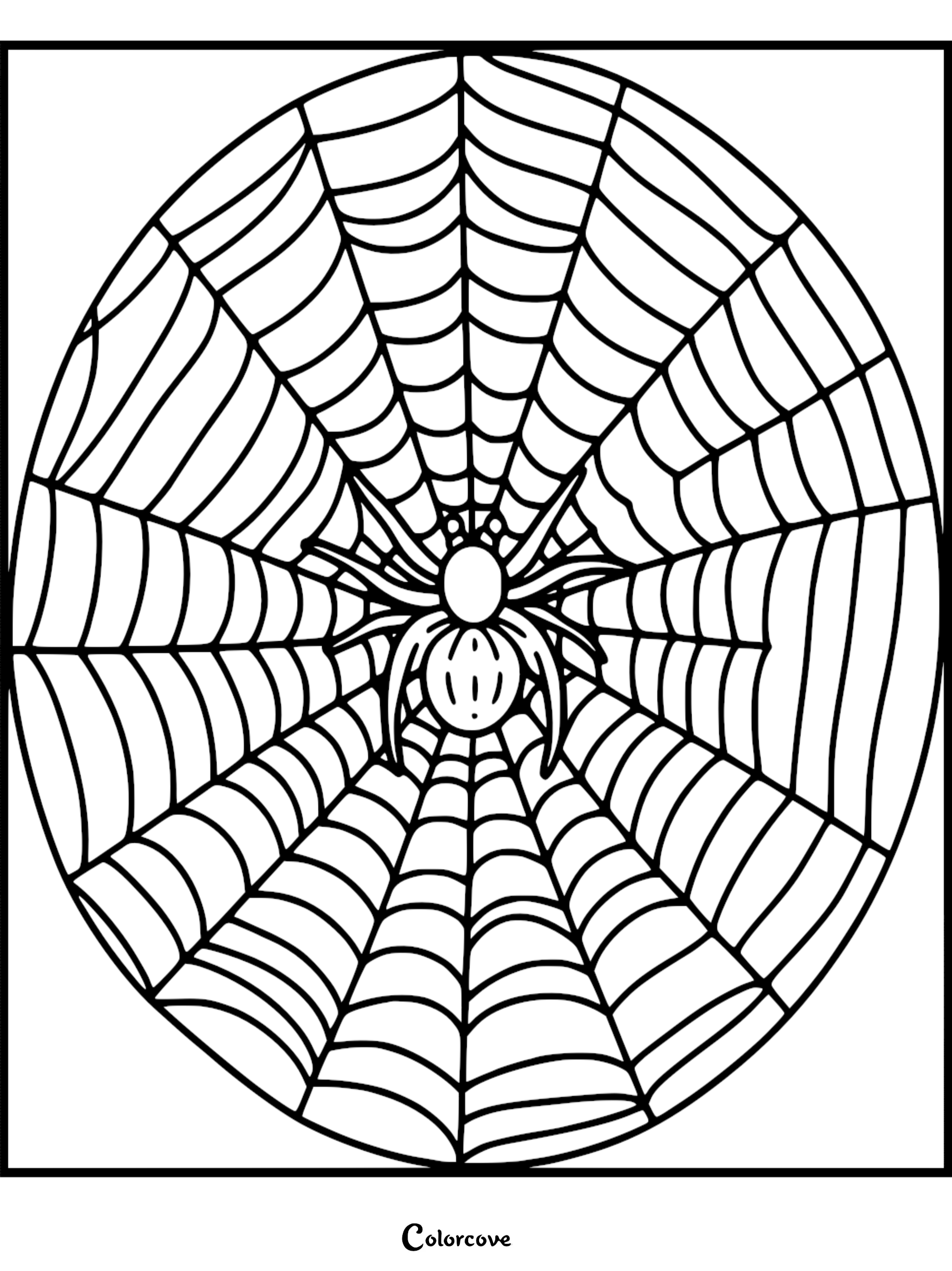 A simple line art coloring page featuring a small spider sitting in the center of a large, circular, symmetrical spider web.
