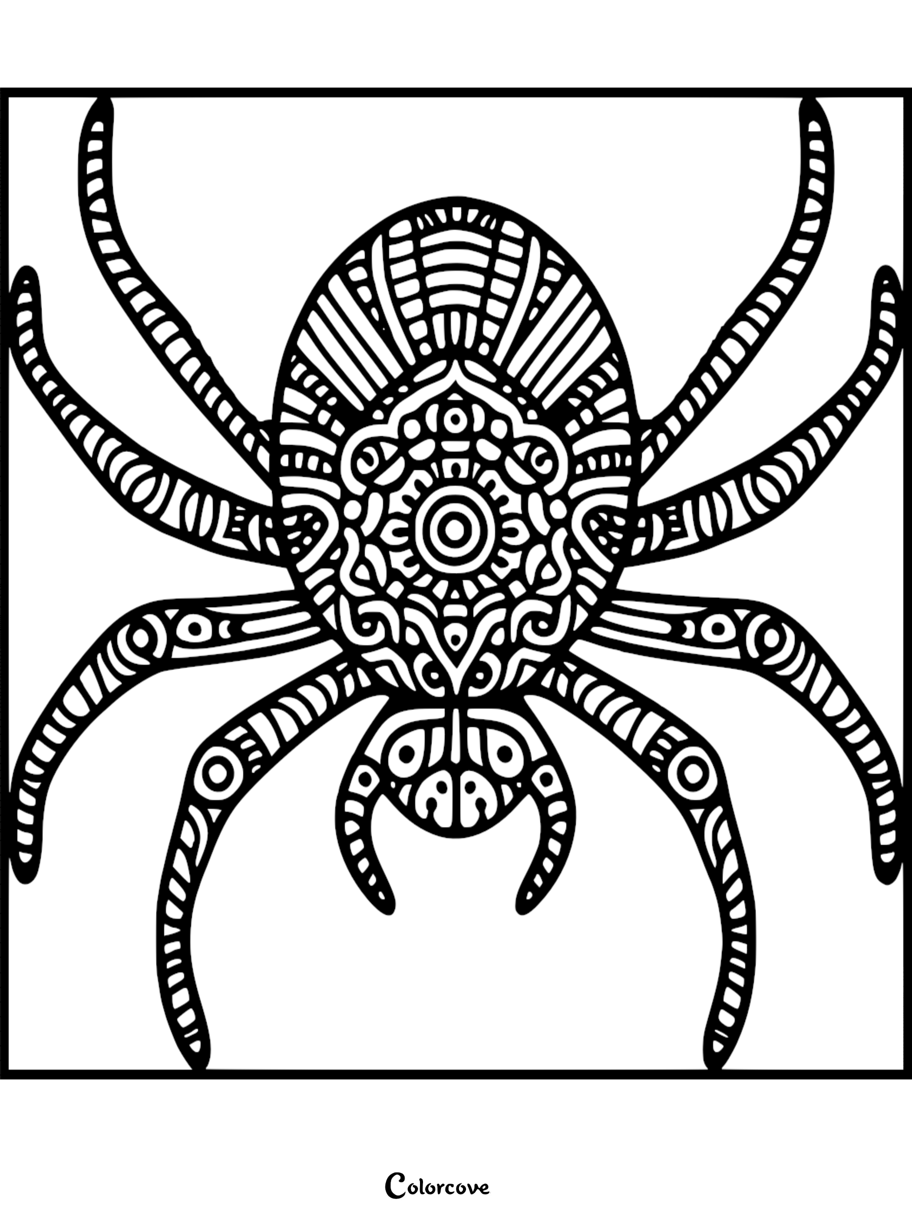 A detailed mandala-style cute spider coloring page featuring intricate geometric patterns on its body and eight curved legs.