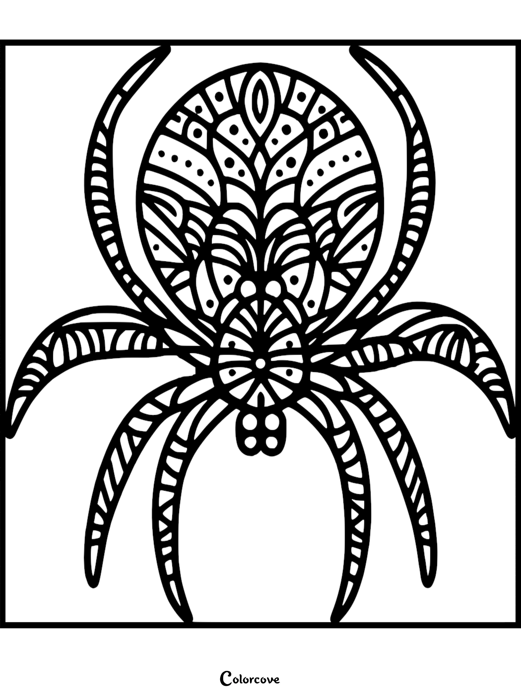 A symmetrical mandala-style spider with intricate geometric patterns on its abdomen and legs, presented as a black and white coloring page.