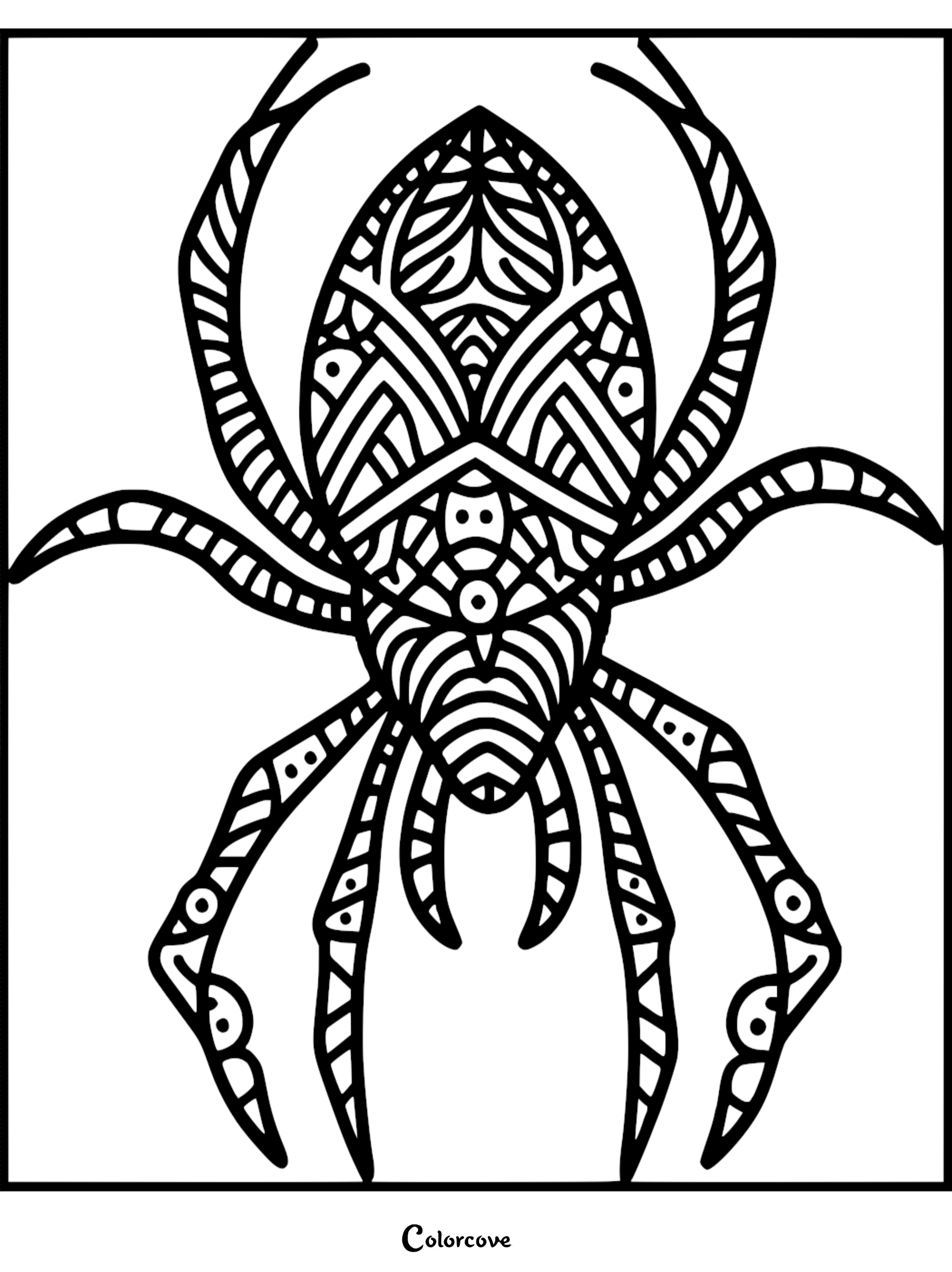 A detailed mandala-style spider coloring page featuring geometric patterns and tribal-inspired line art on its body and legs.