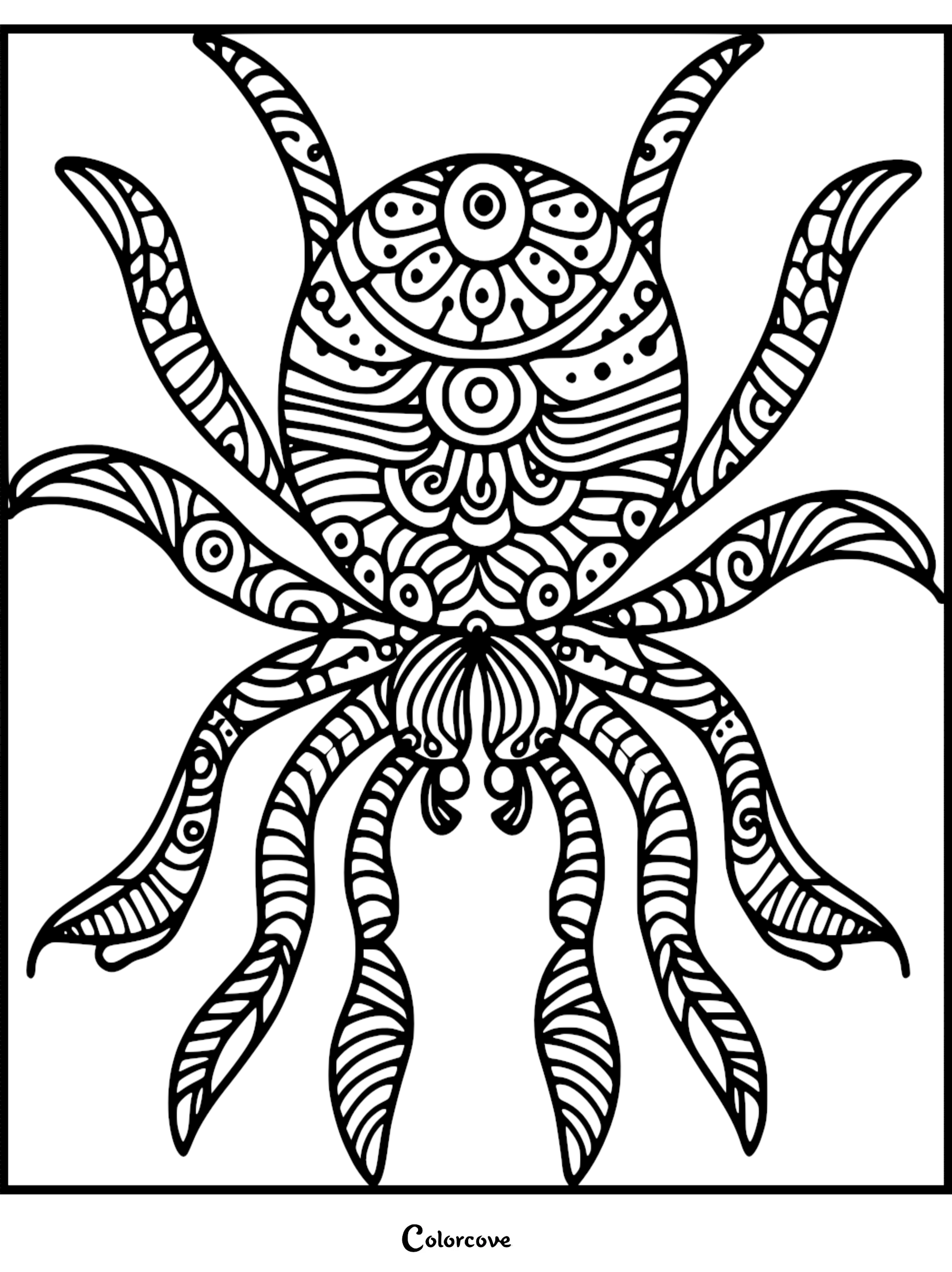 A detailed mandala style spider coloring page featuring intricate geometric patterns on its body and eight curved legs.