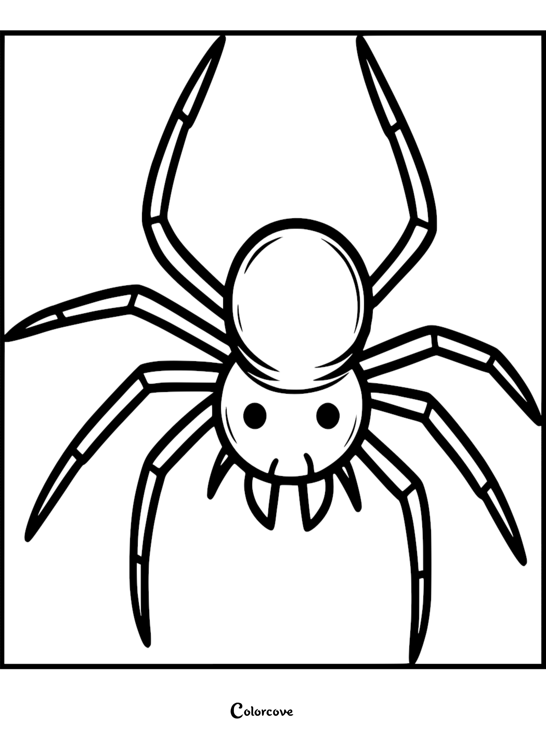 A simple line art coloring page of a cute spider with large round eyes and eight segmented legs.
