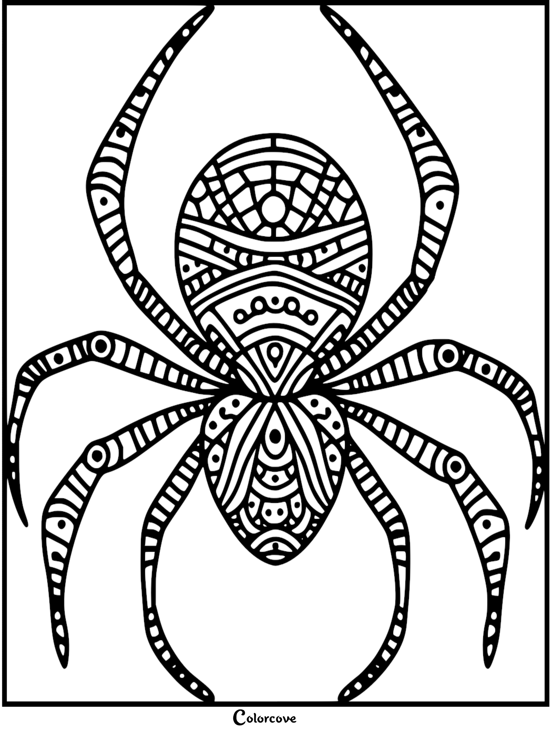 A detailed zentangle spider coloring page featuring intricate geometric patterns on its abdomen and striped legs.