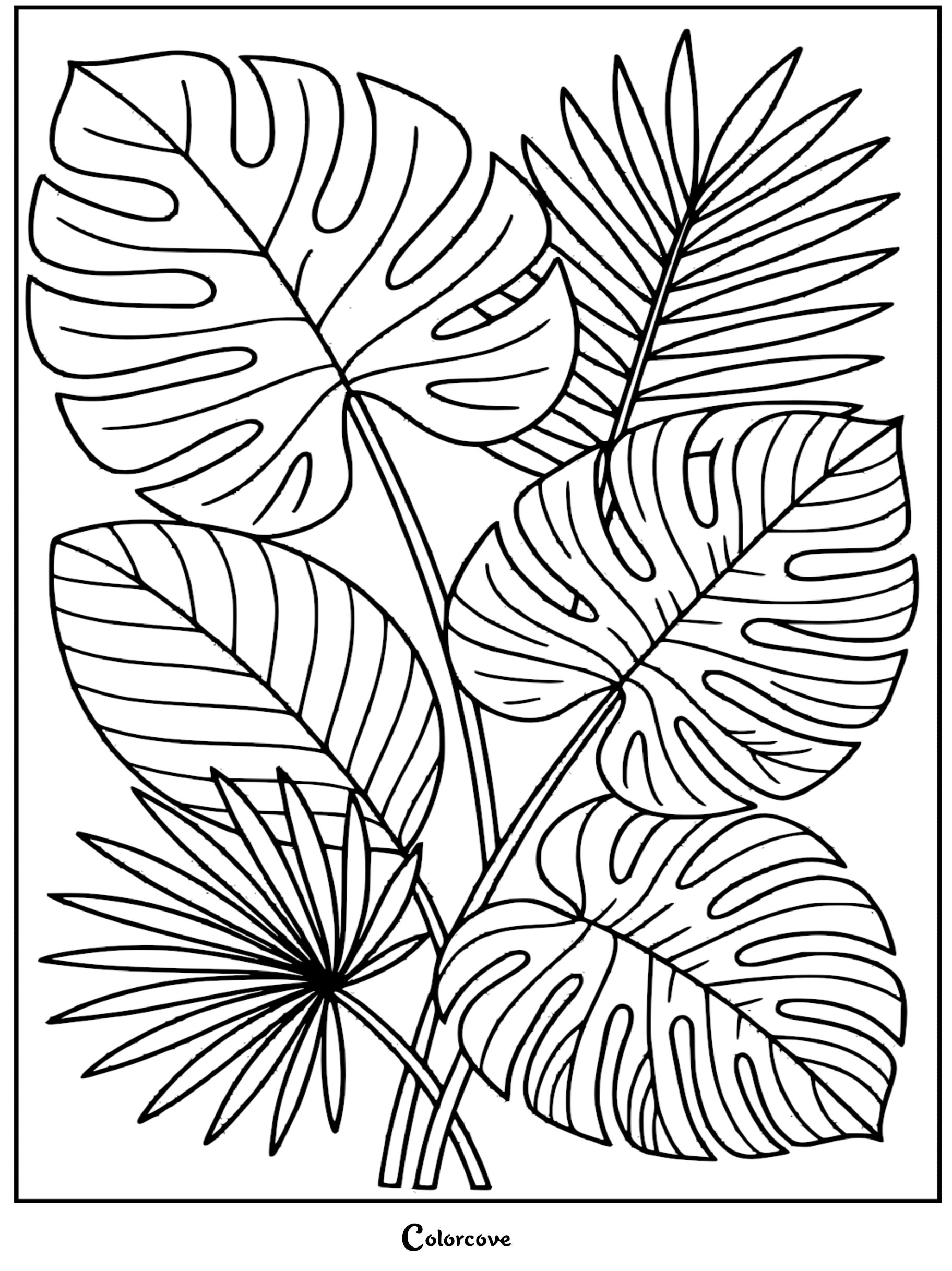 Tropical coloring page featuring layered monstera deliciosa and fan palm leaves with bold outlines.
