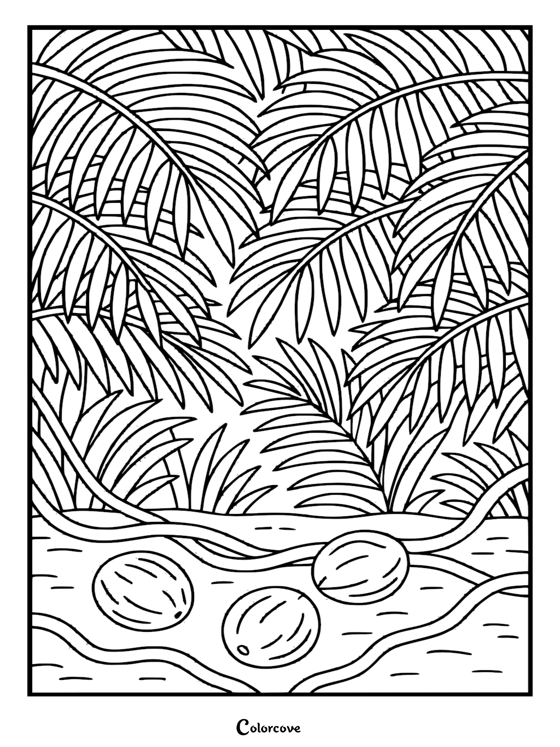 A detailed tropical coloring page featuring three coconuts resting on a sandy beach shore beneath lush overhanging palm fronds.